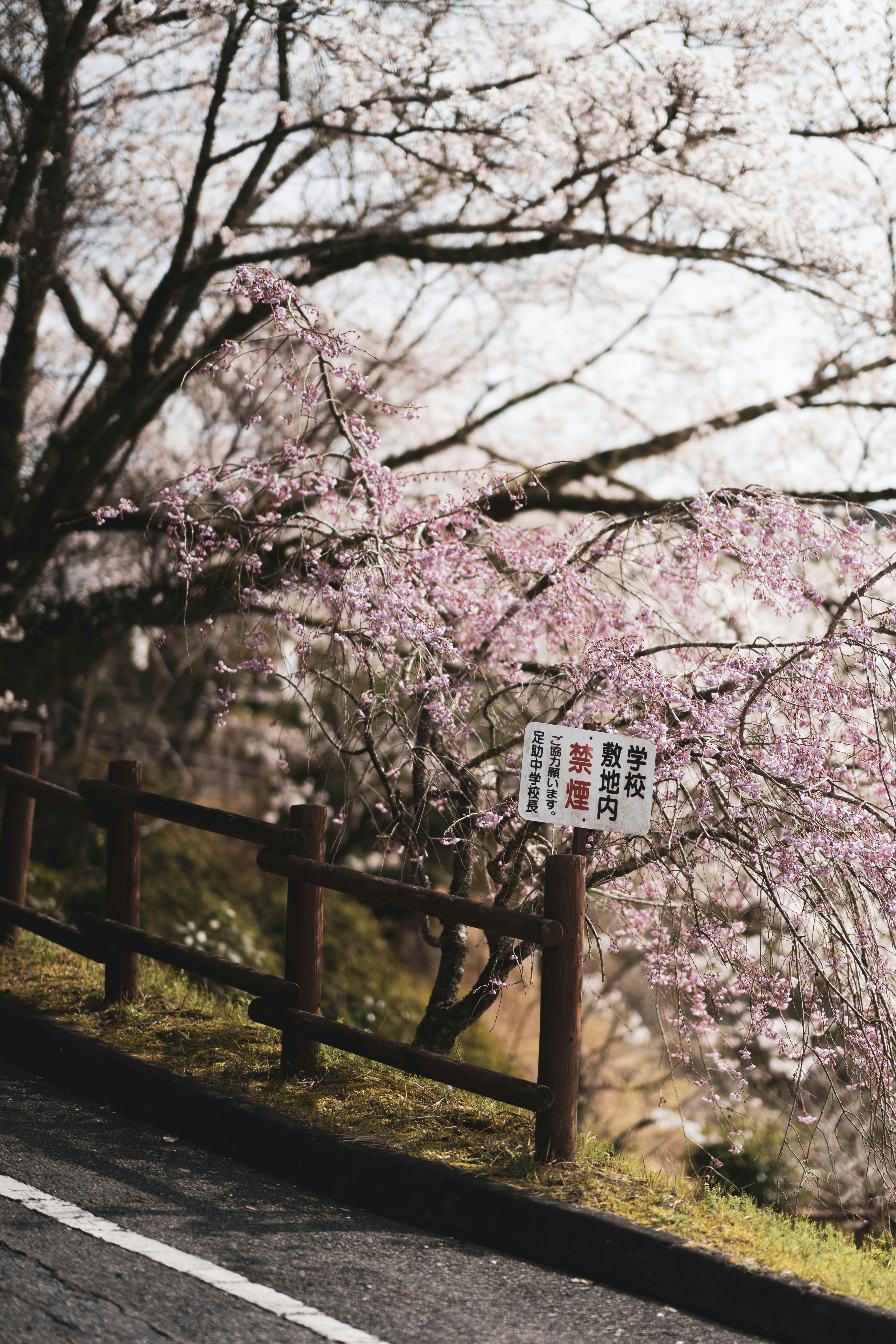 Photo by fabianbaechli