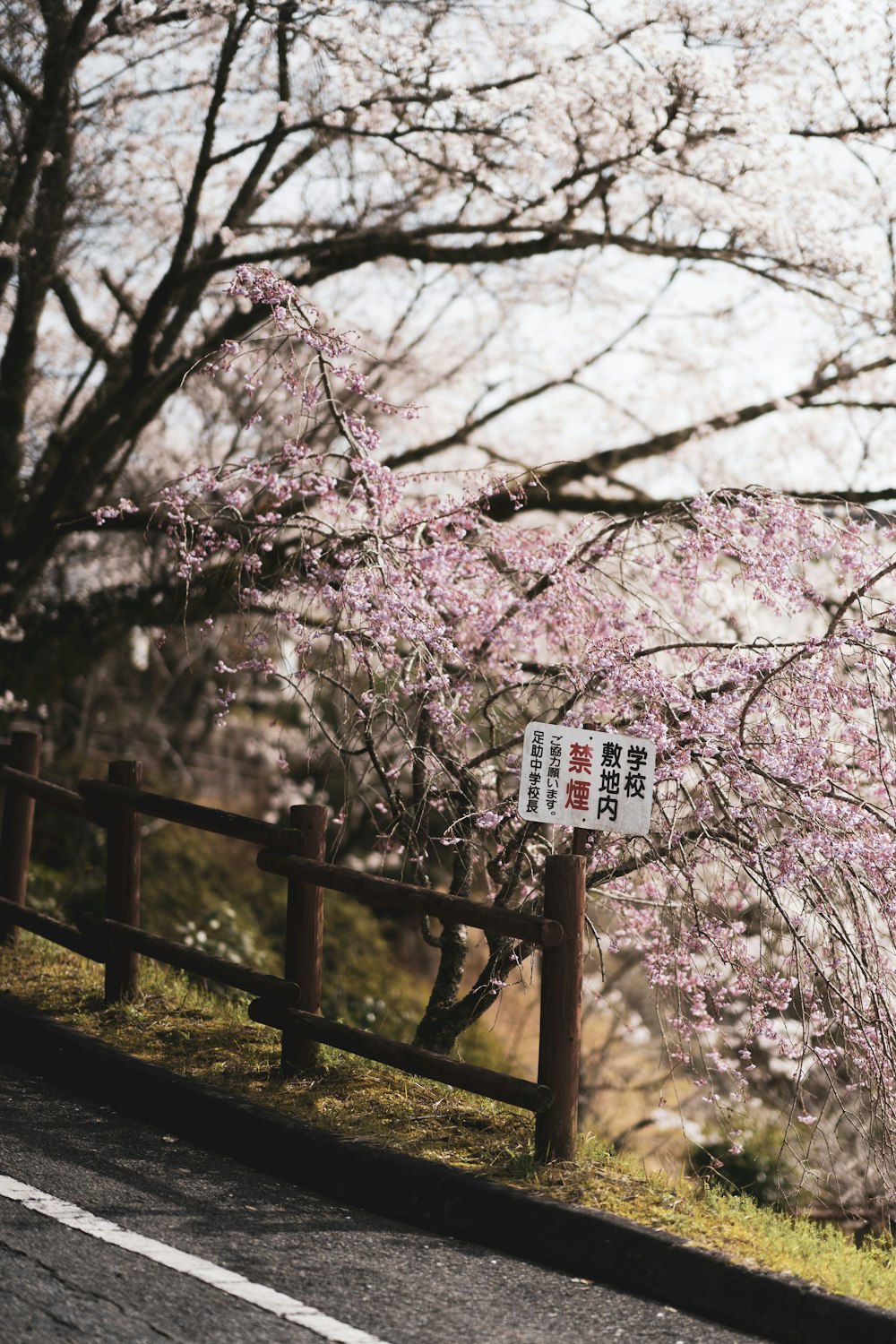 a sign that is on a fence near a tree