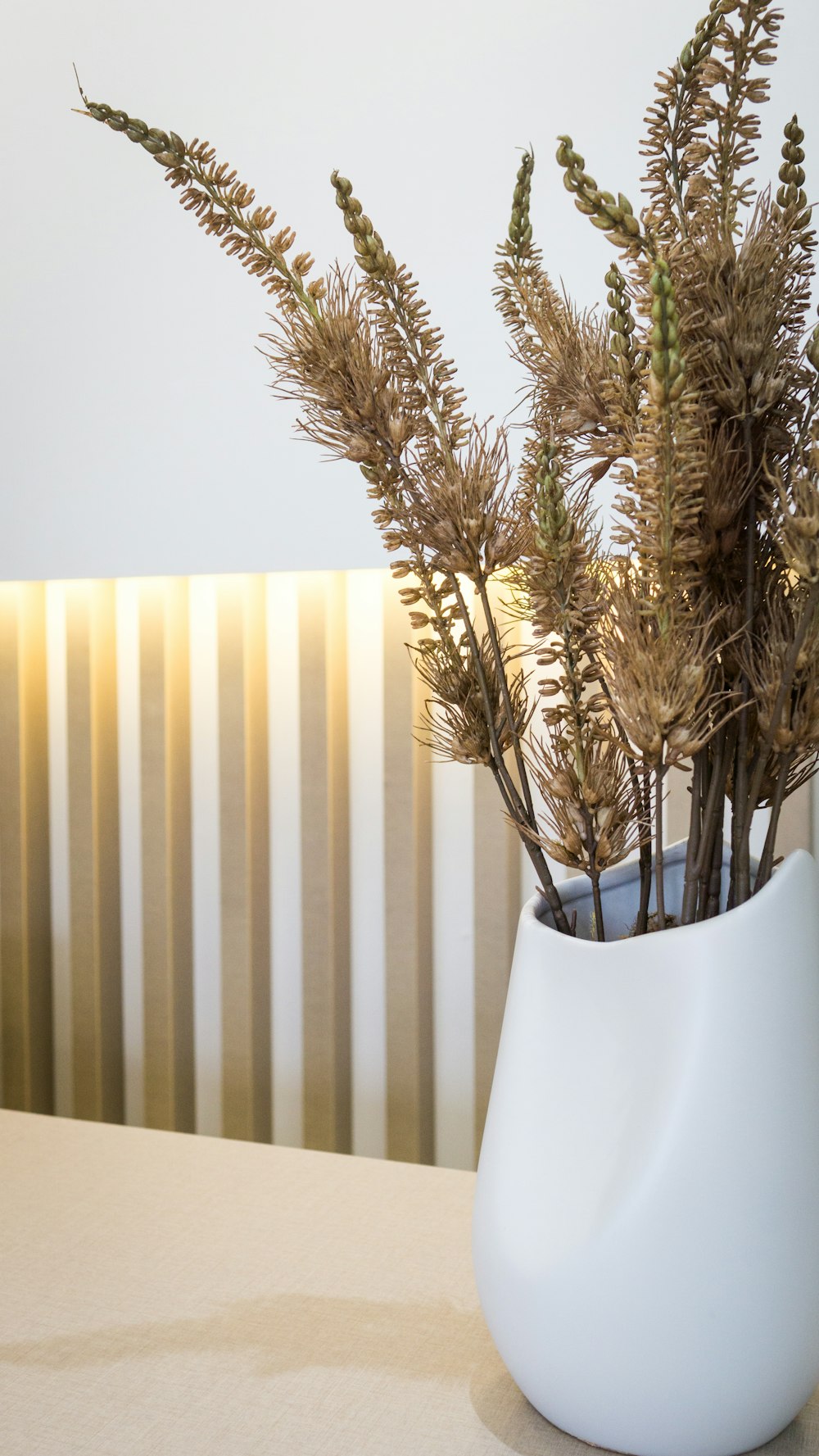 a plant in a white vase on a table