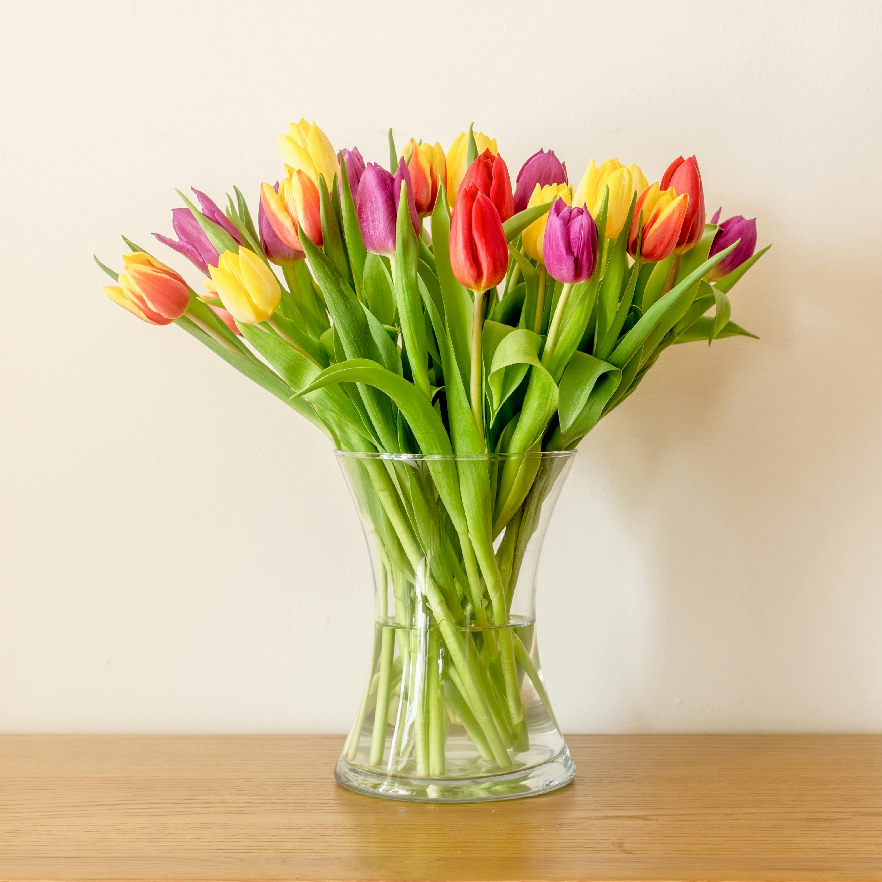 Bunte Tulpen in einer Vase