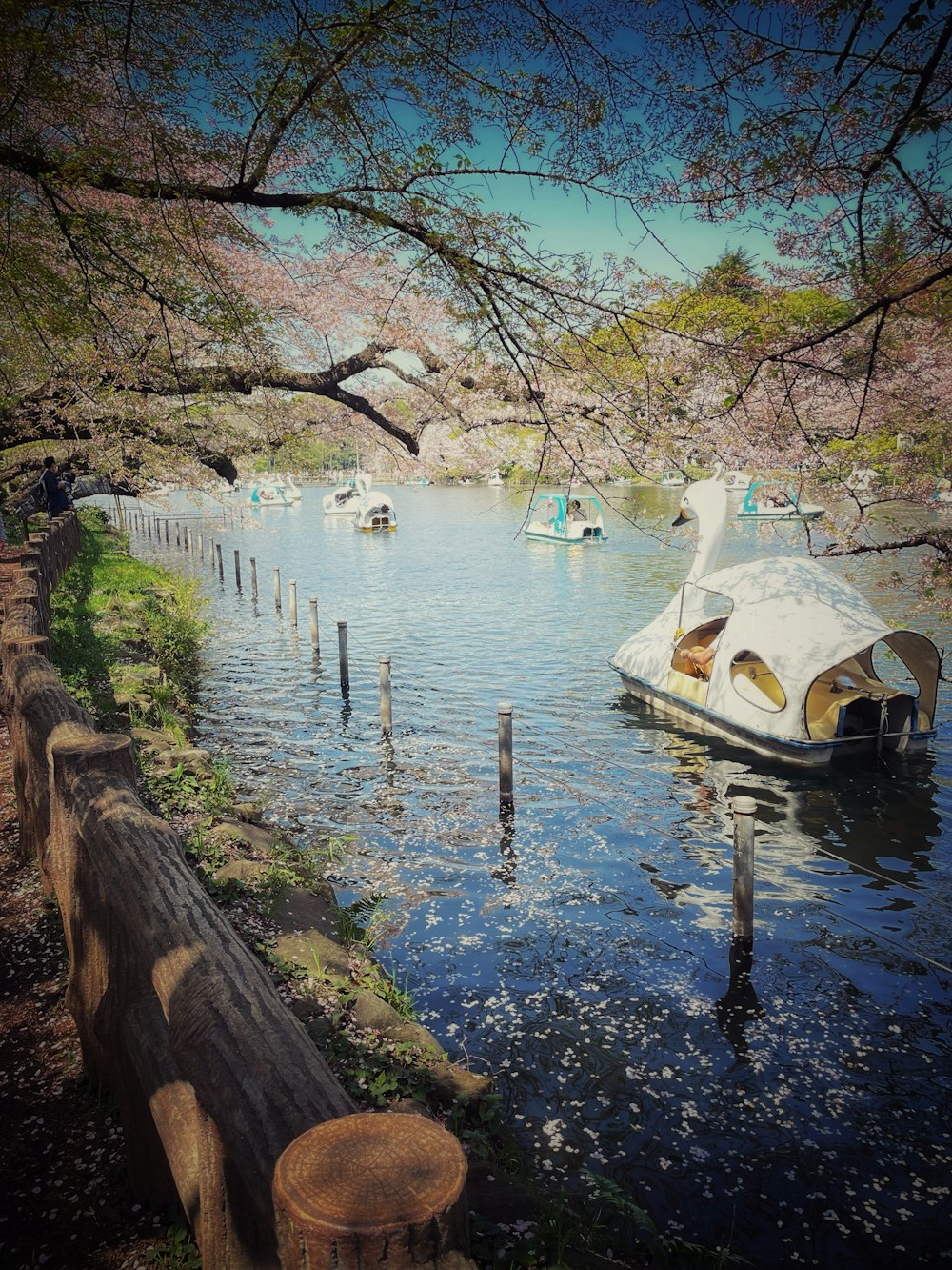 a boat floating on top of a lake surrounded by trees