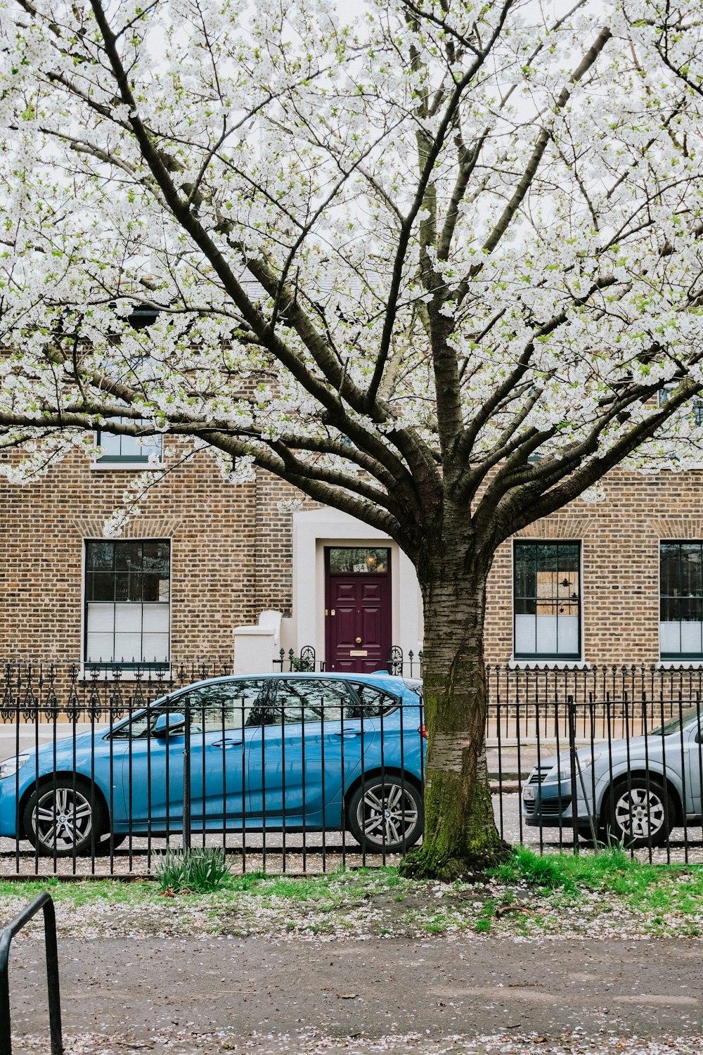 a blue car parked in front of a tree