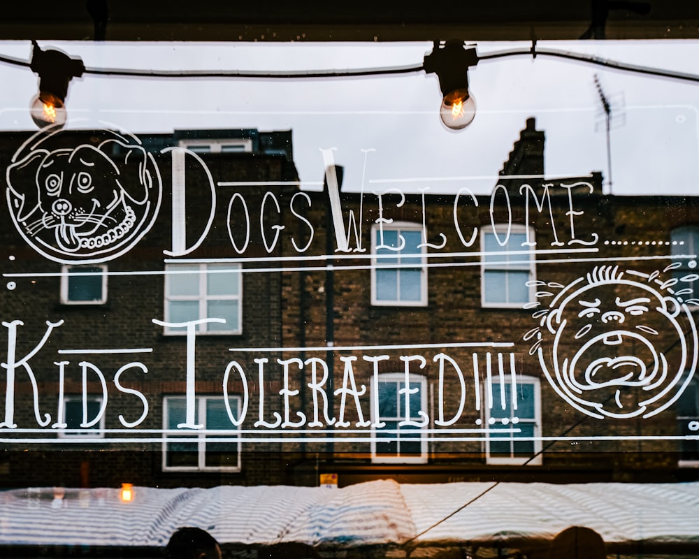 a store window with a reflection of a dog's head on it