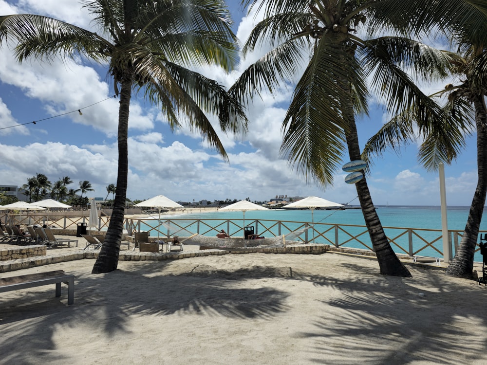 a sandy beach with palm trees and umbrellas