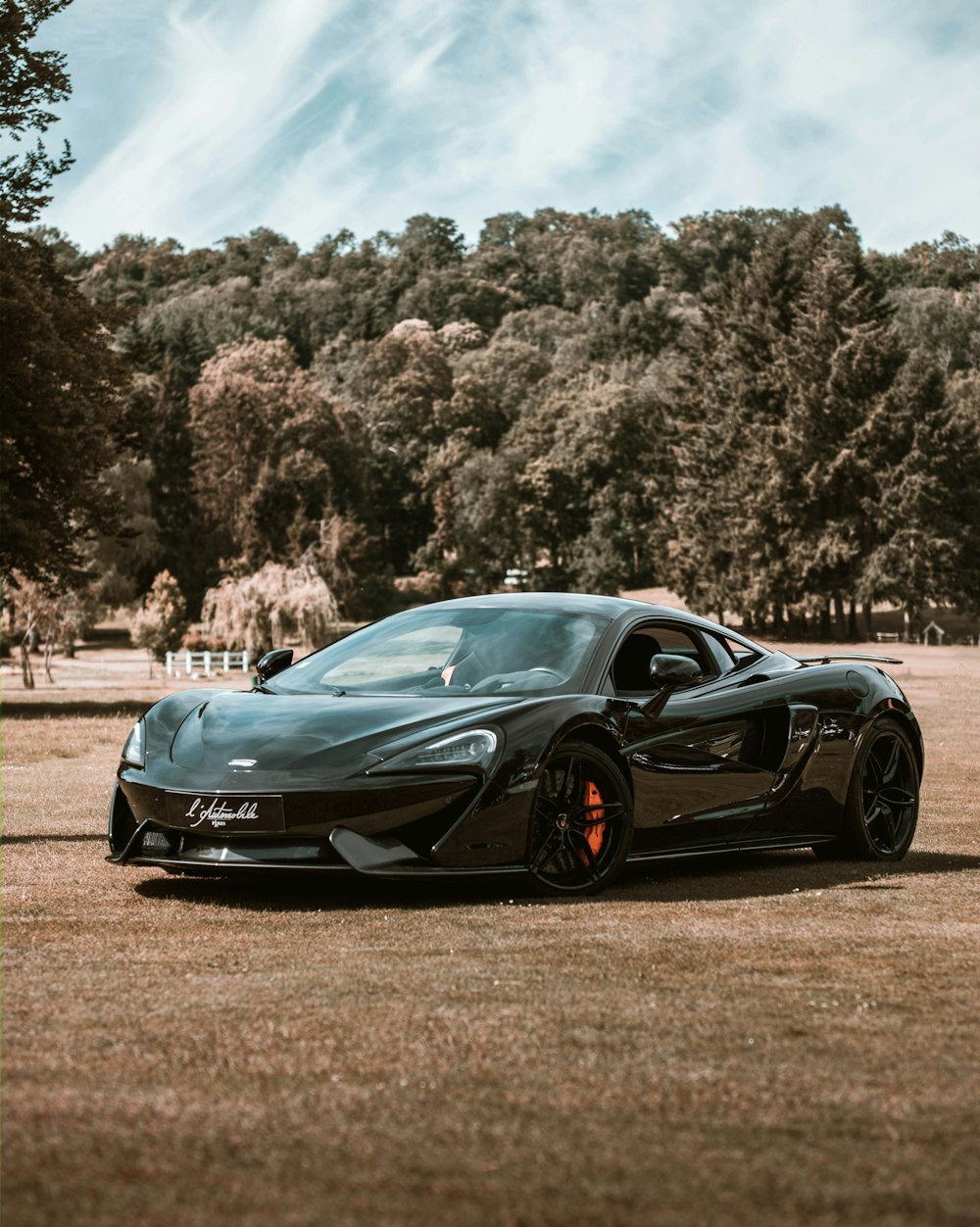 a black sports car parked in a field