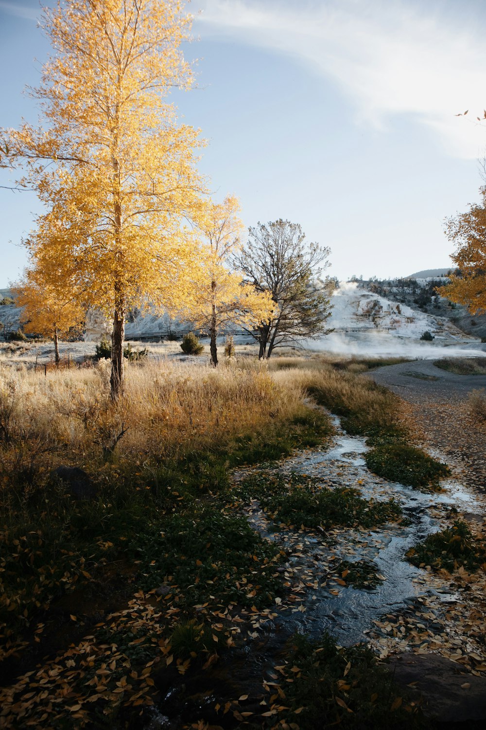 a small stream running through a dry grass field