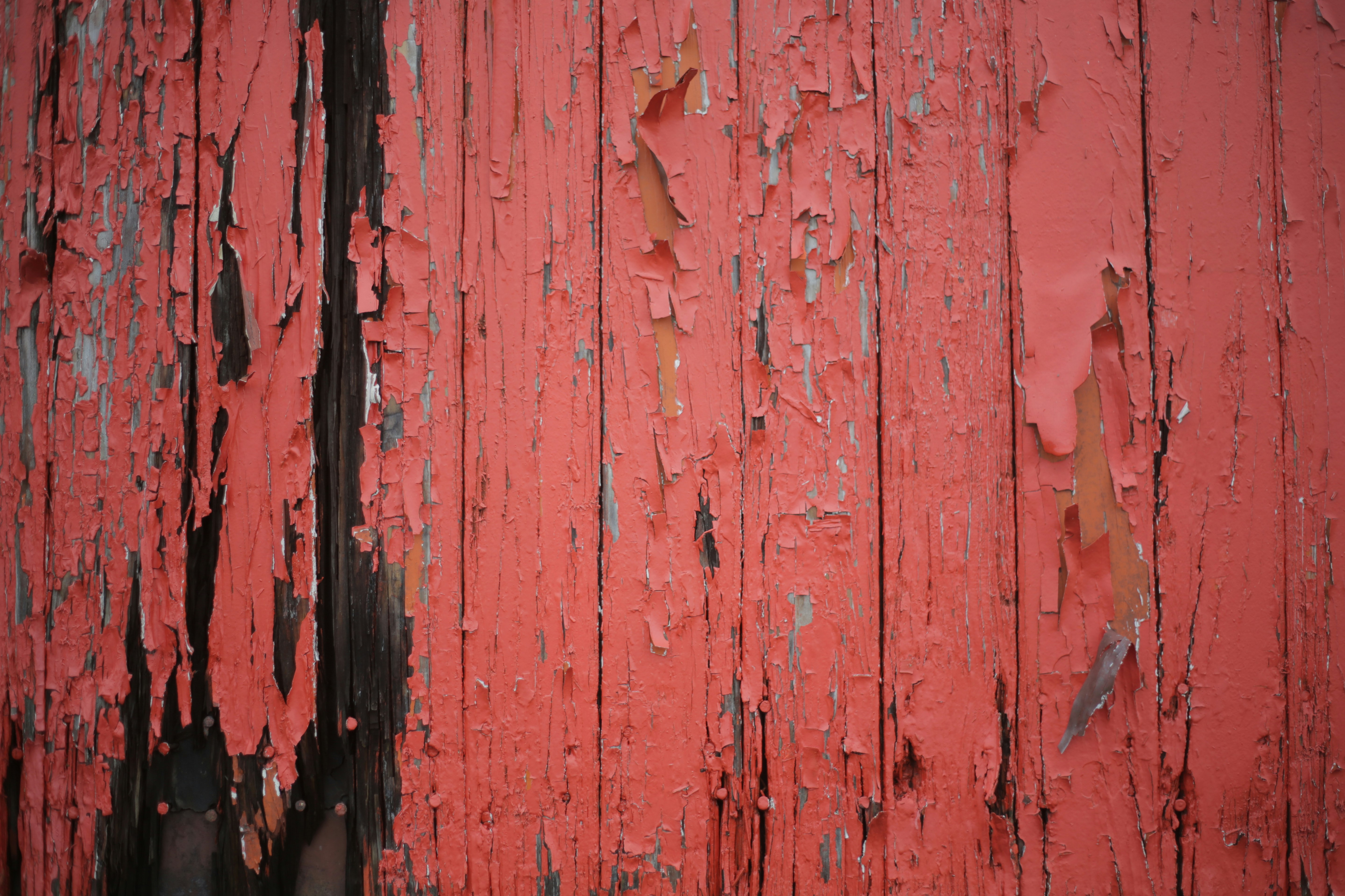 Photo by rhubbardstockfootage