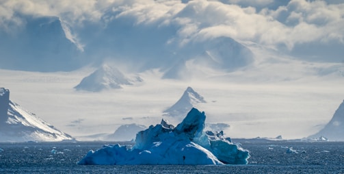 A breathtaking view of icebergs floating in a polar sea.