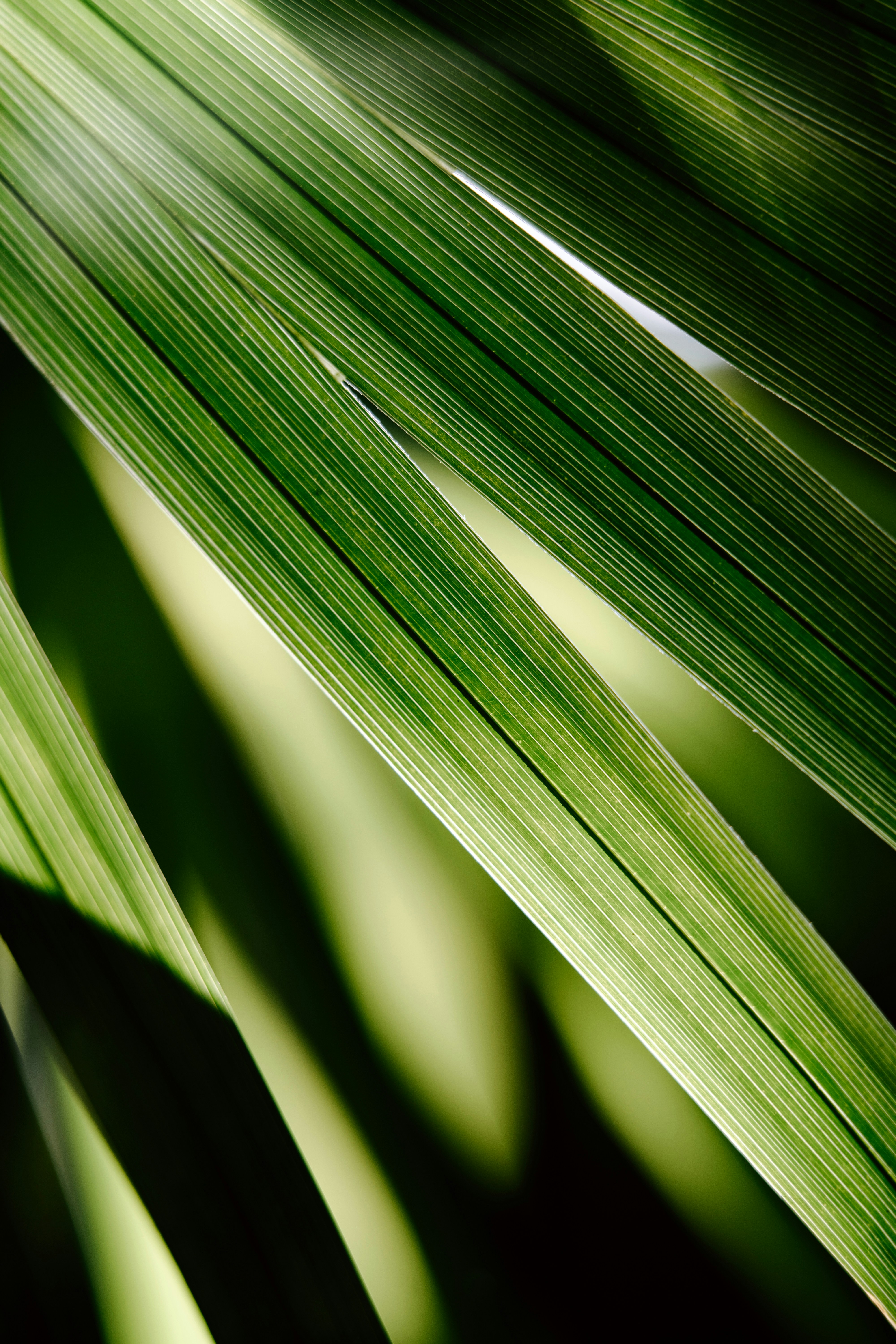 Photo by anamnesis33