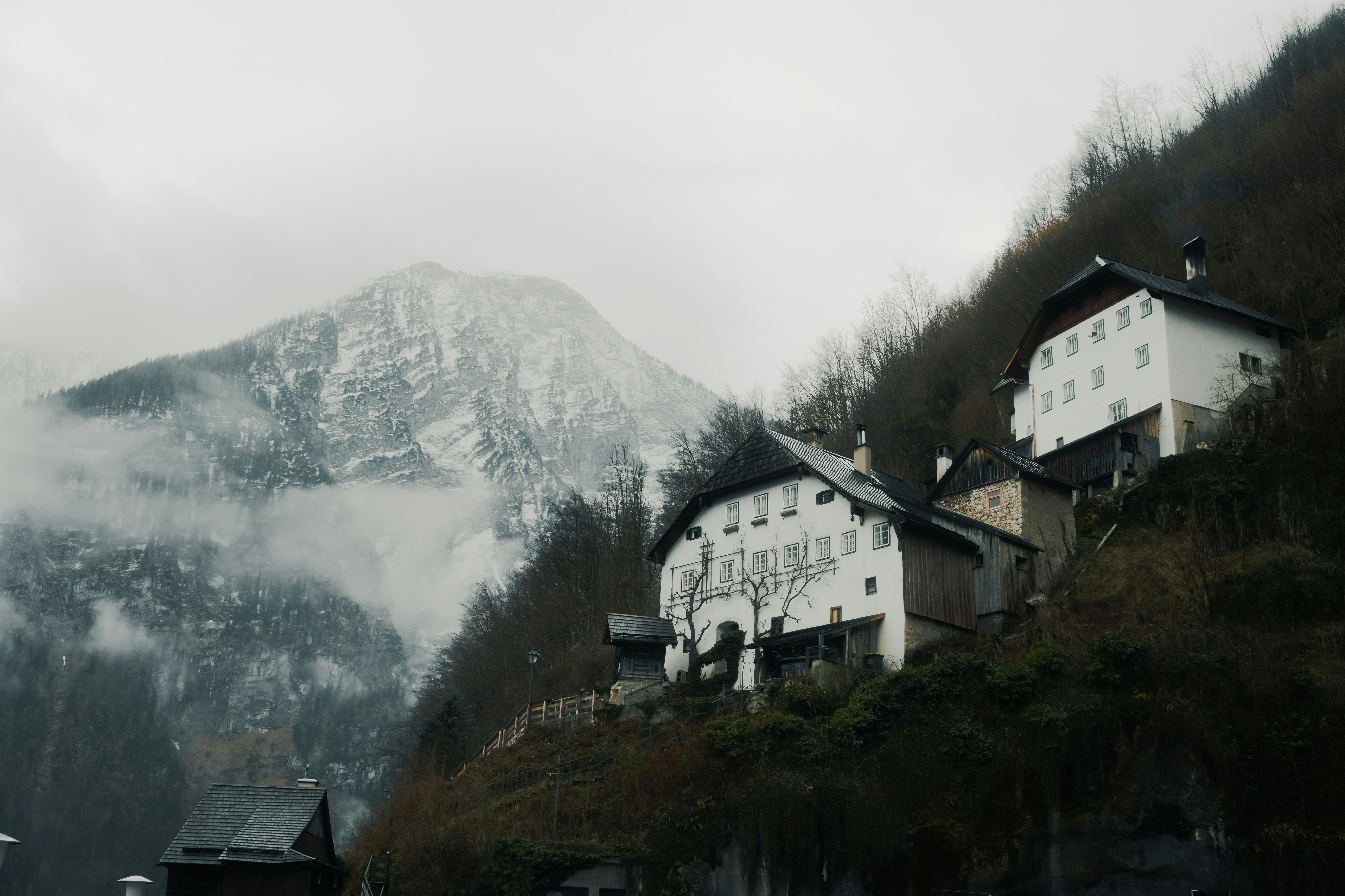 Photo by bryanbrittos