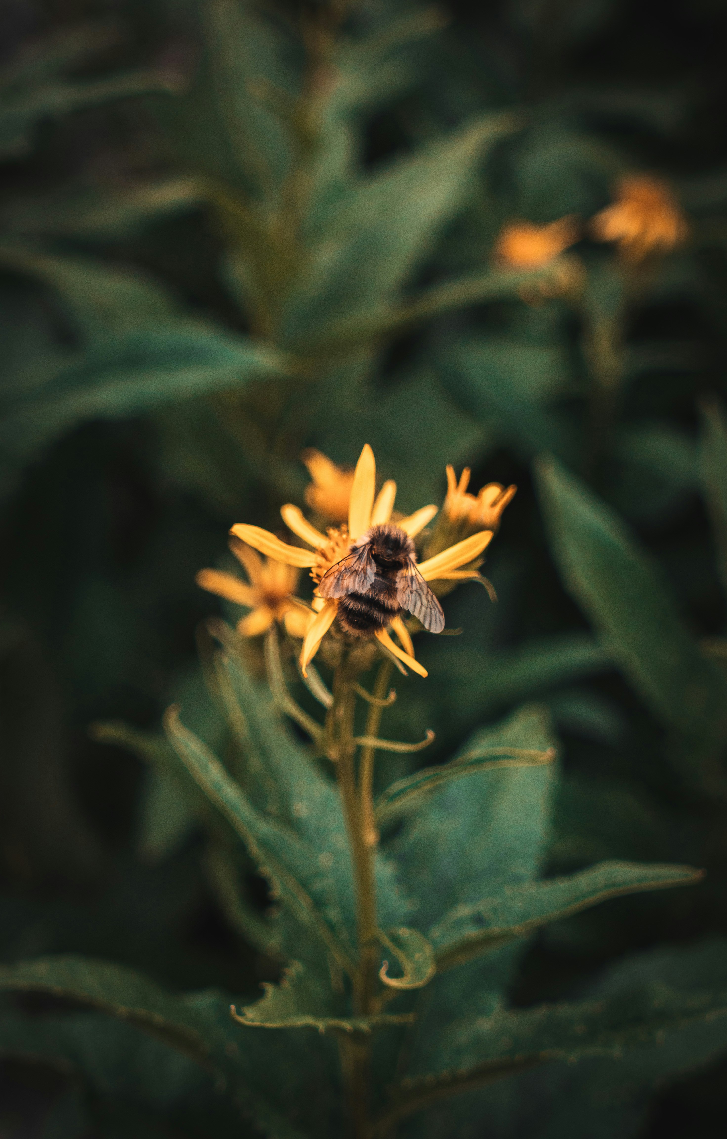 Photo by kosmonaut182