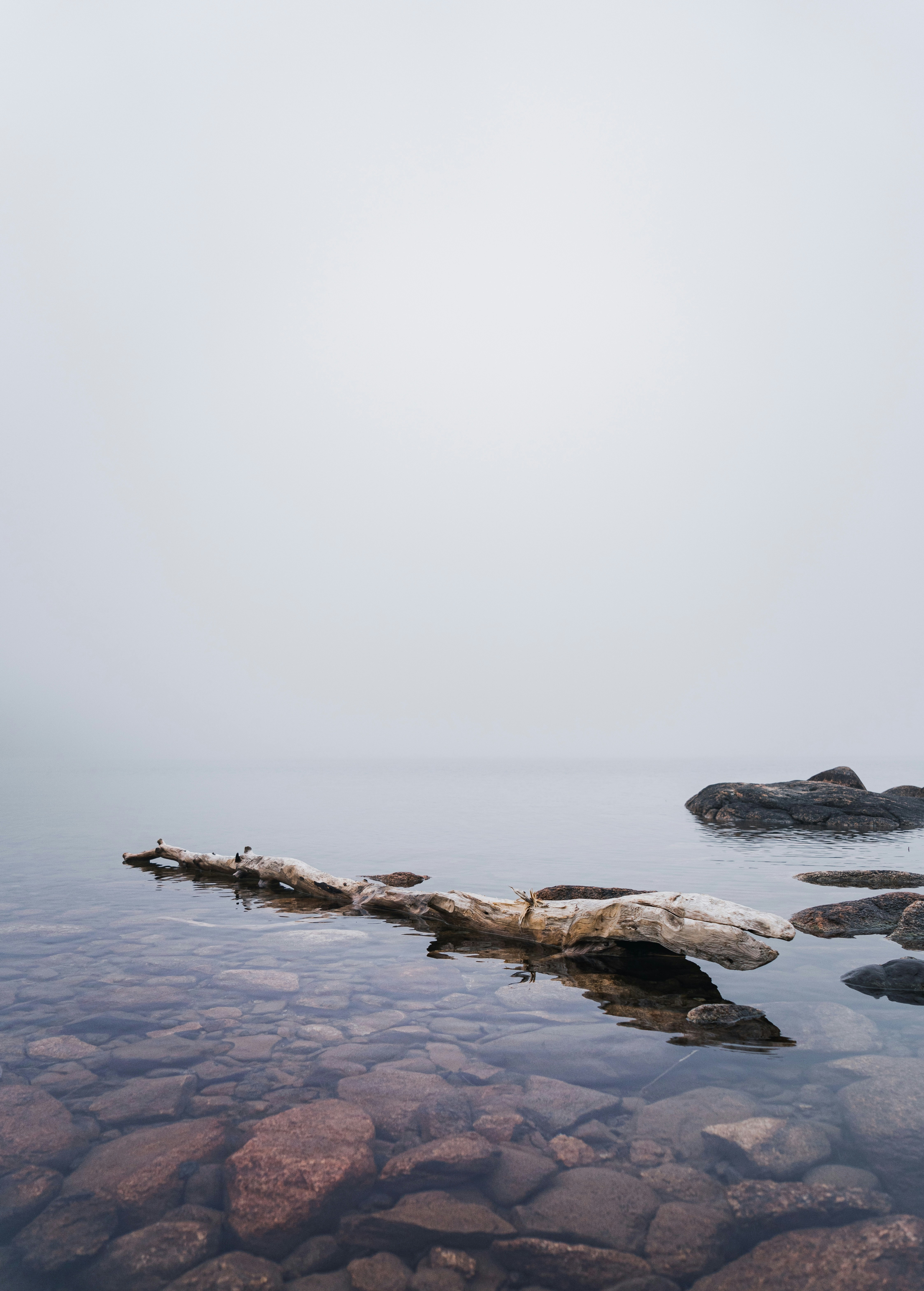 Photo by kosmonaut182