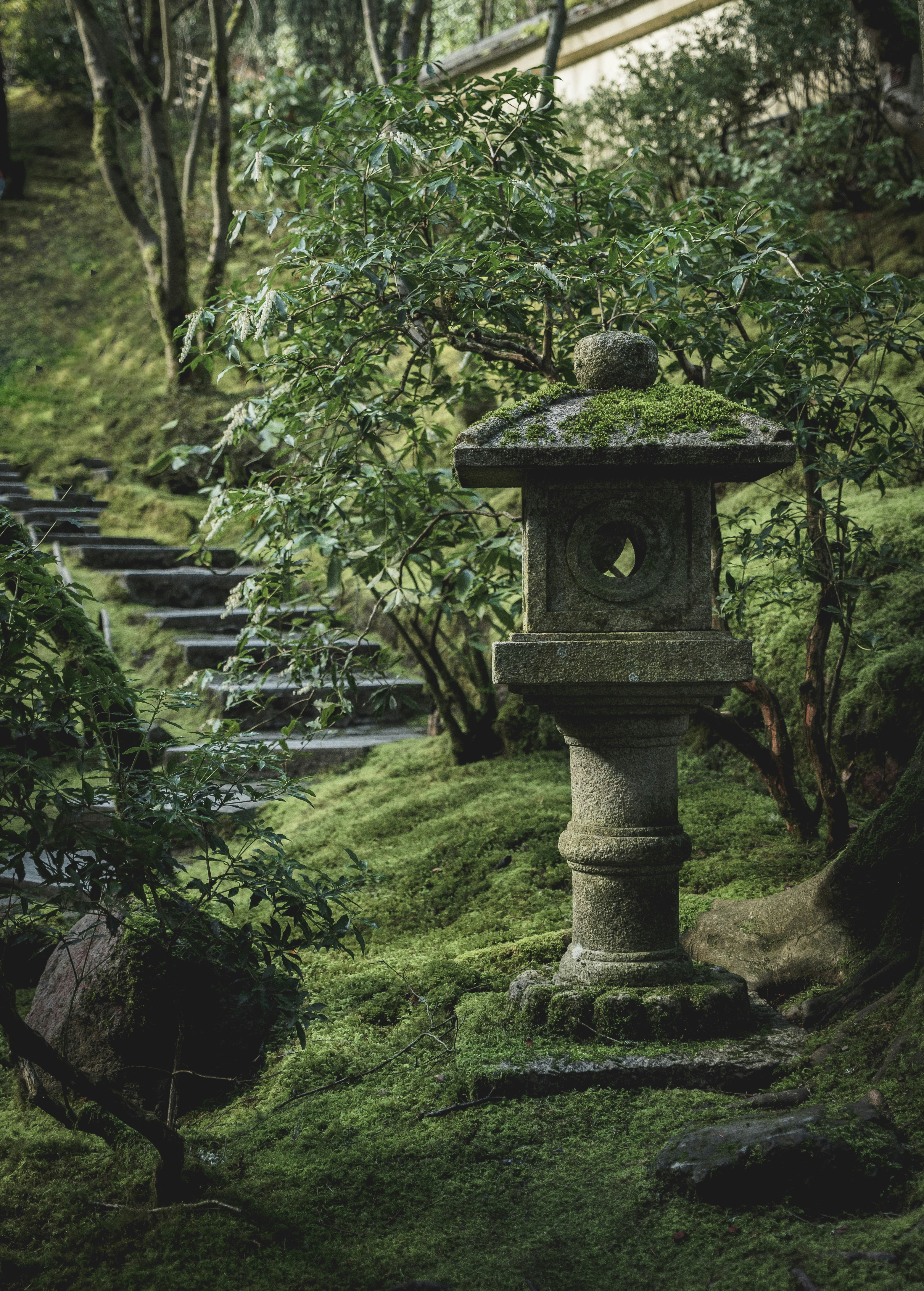 Photo by kosmonaut182