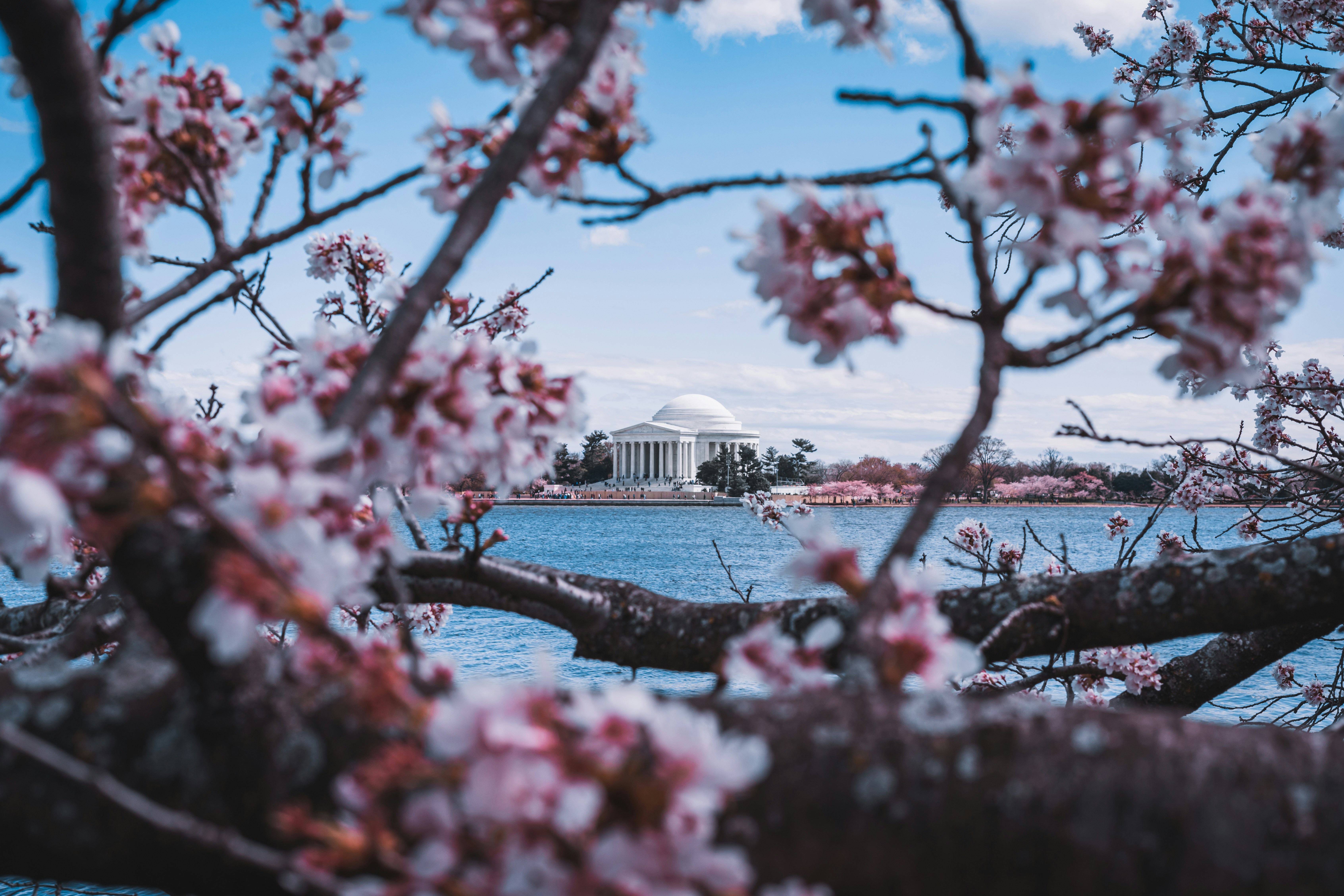 Photo by kosmonaut182