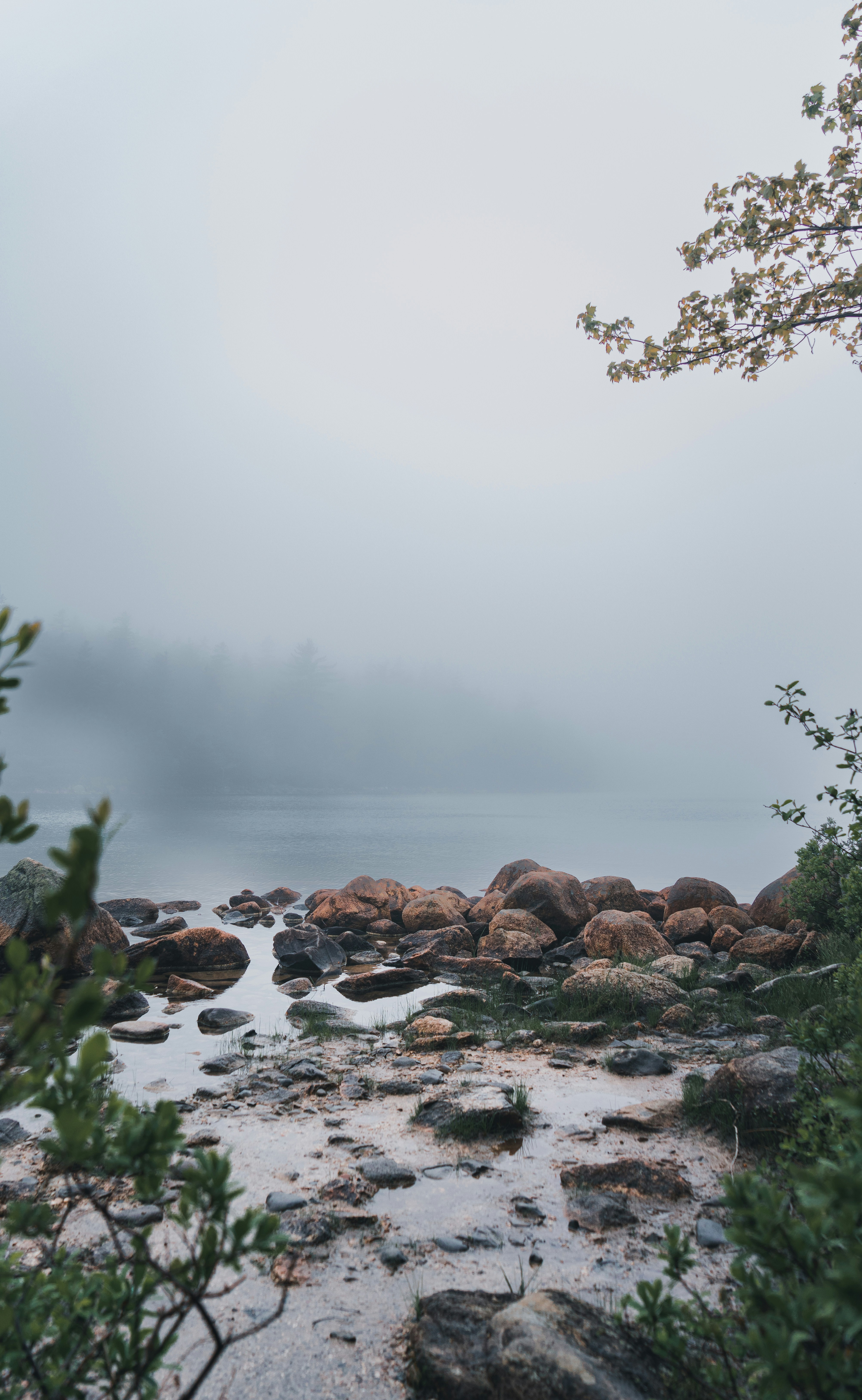 Photo by kosmonaut182