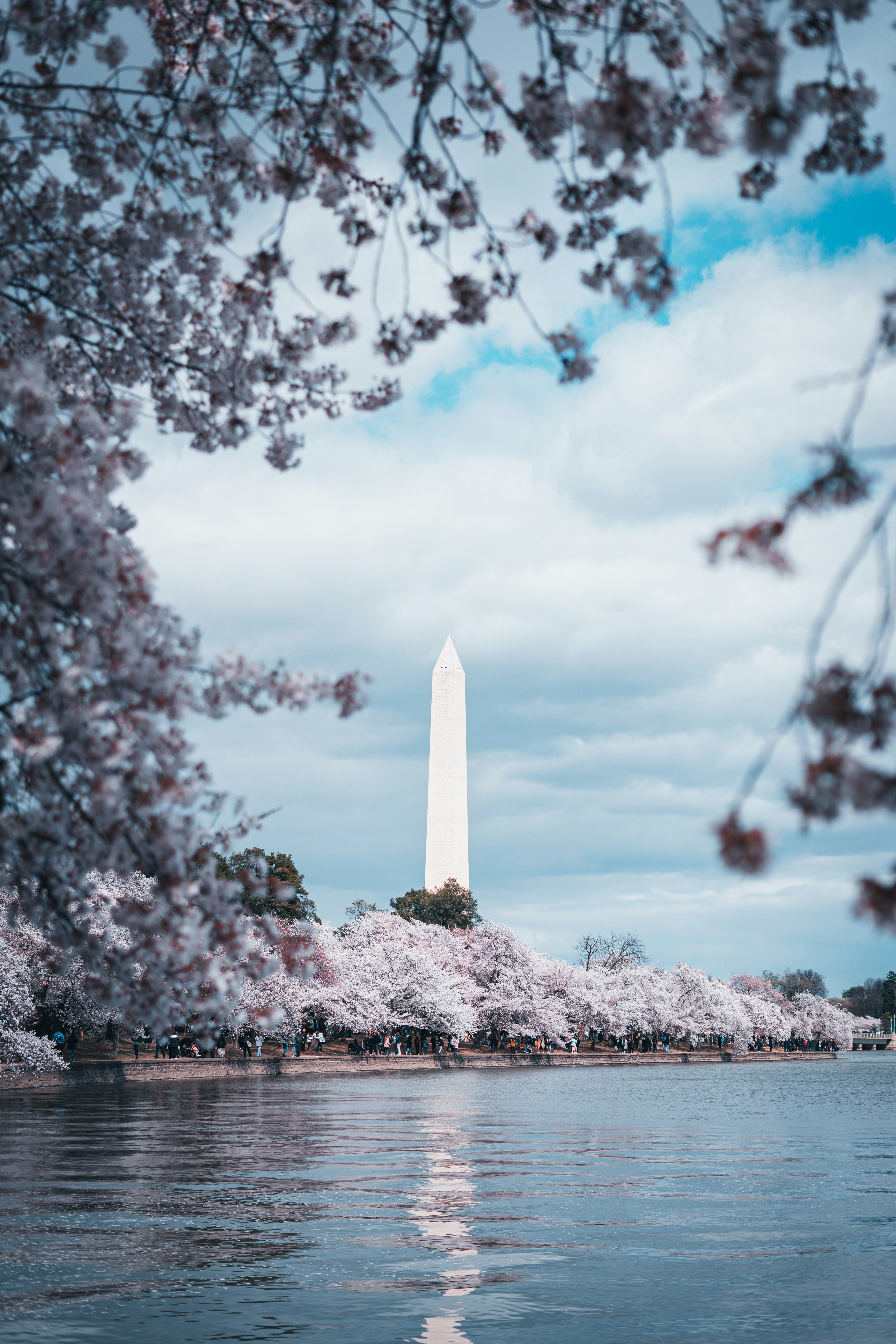 Photo by kosmonaut182