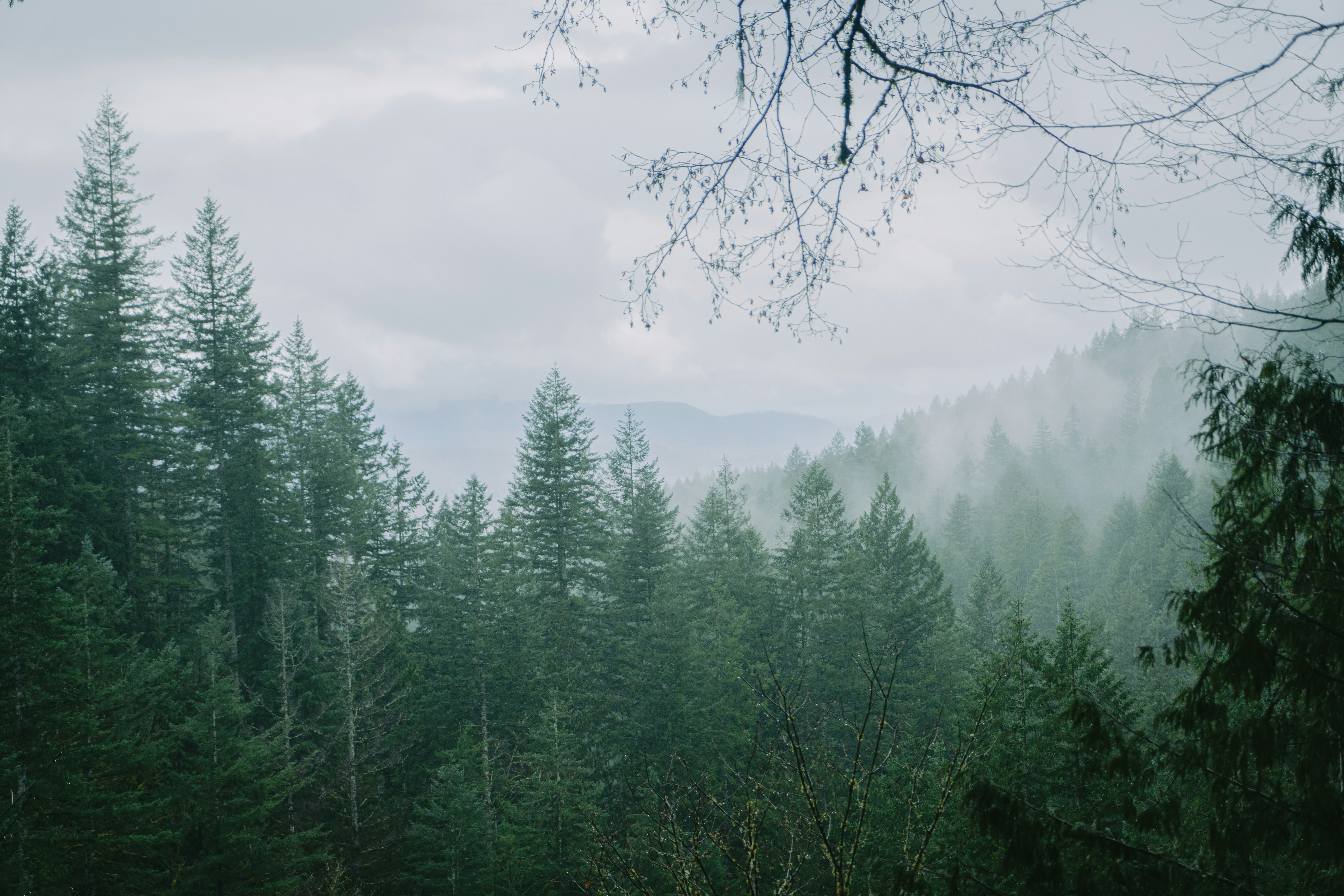 Photo by kosmonaut182