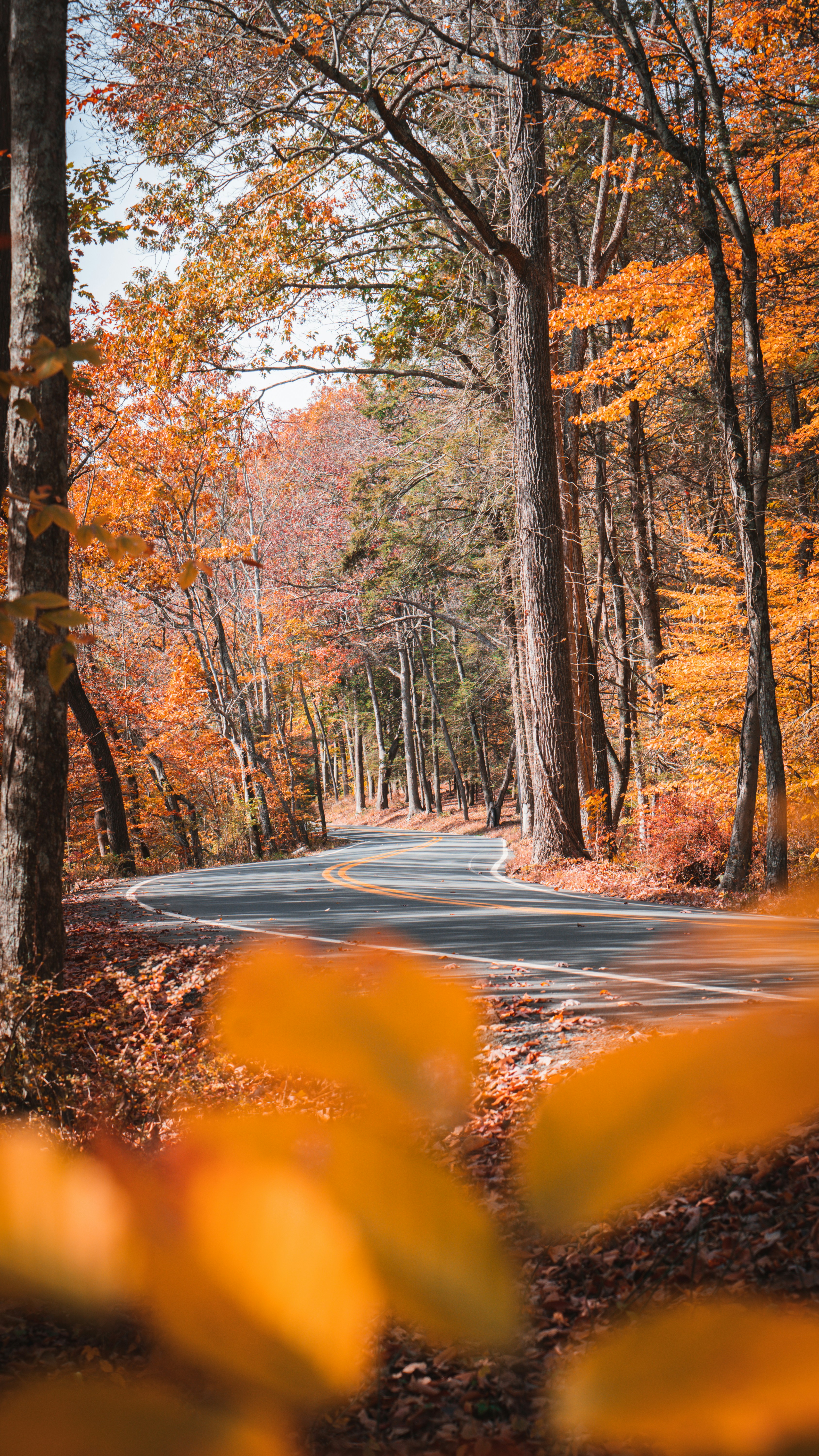 Photo by kosmonaut182