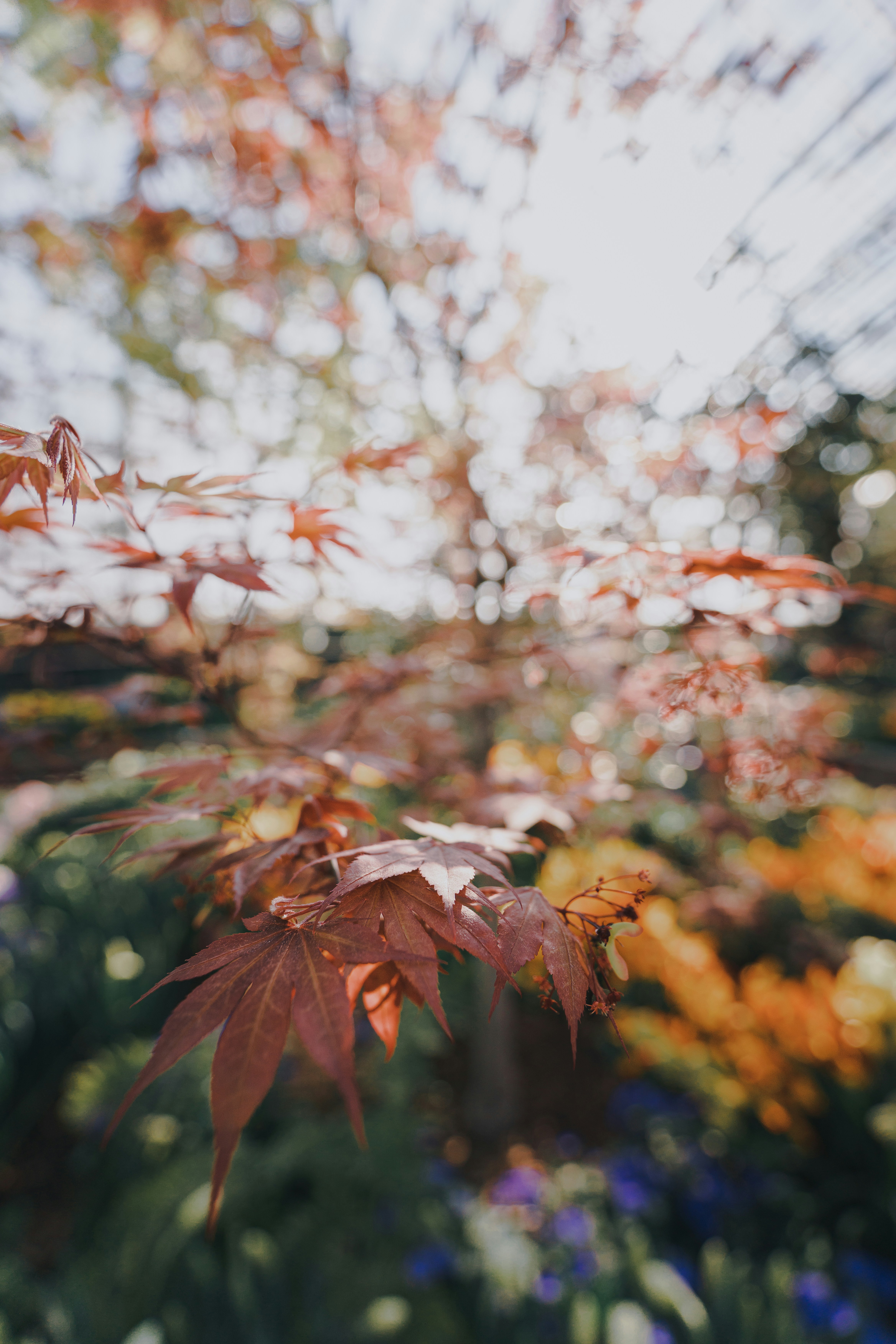 Photo by kosmonaut182