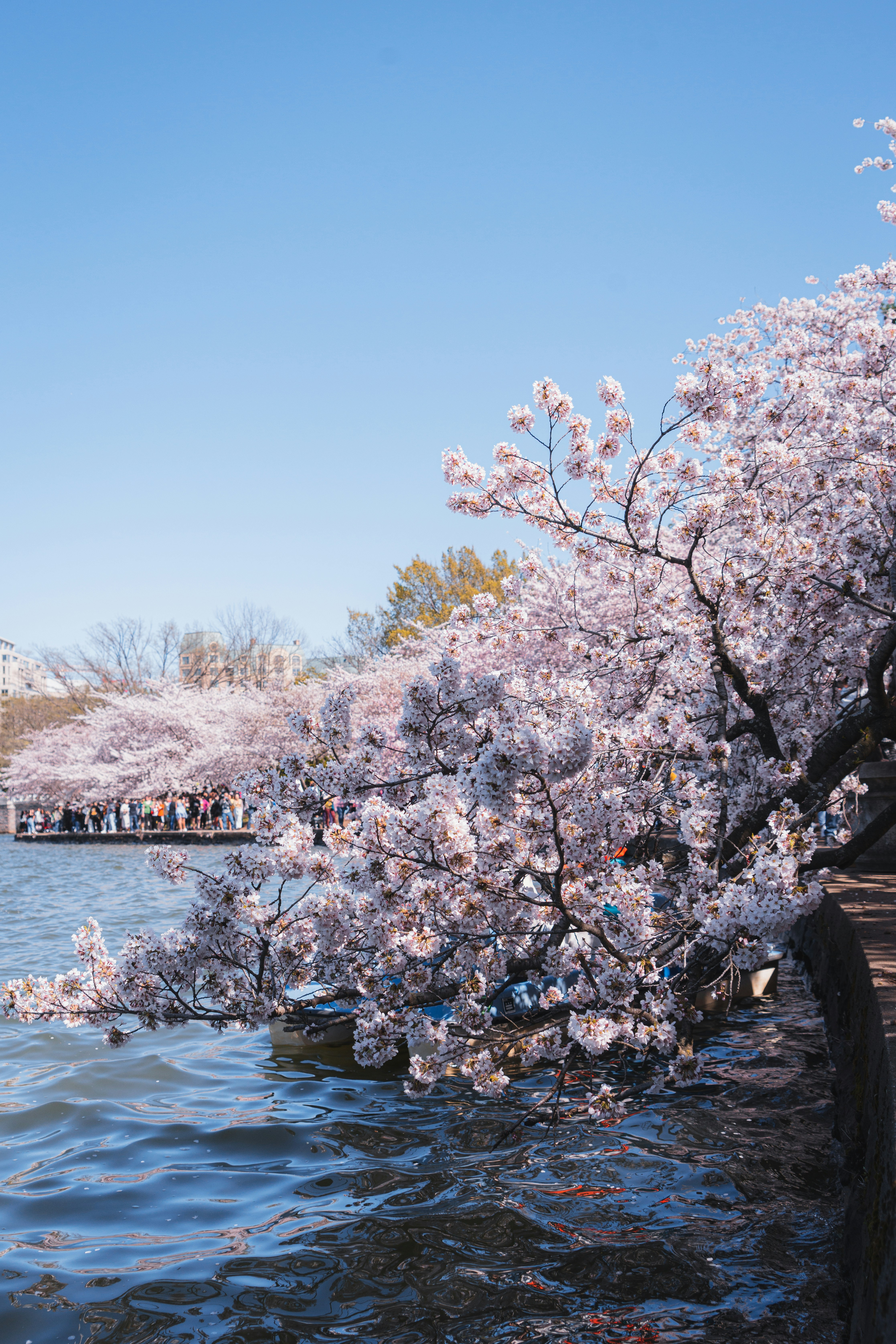 Photo by kosmonaut182