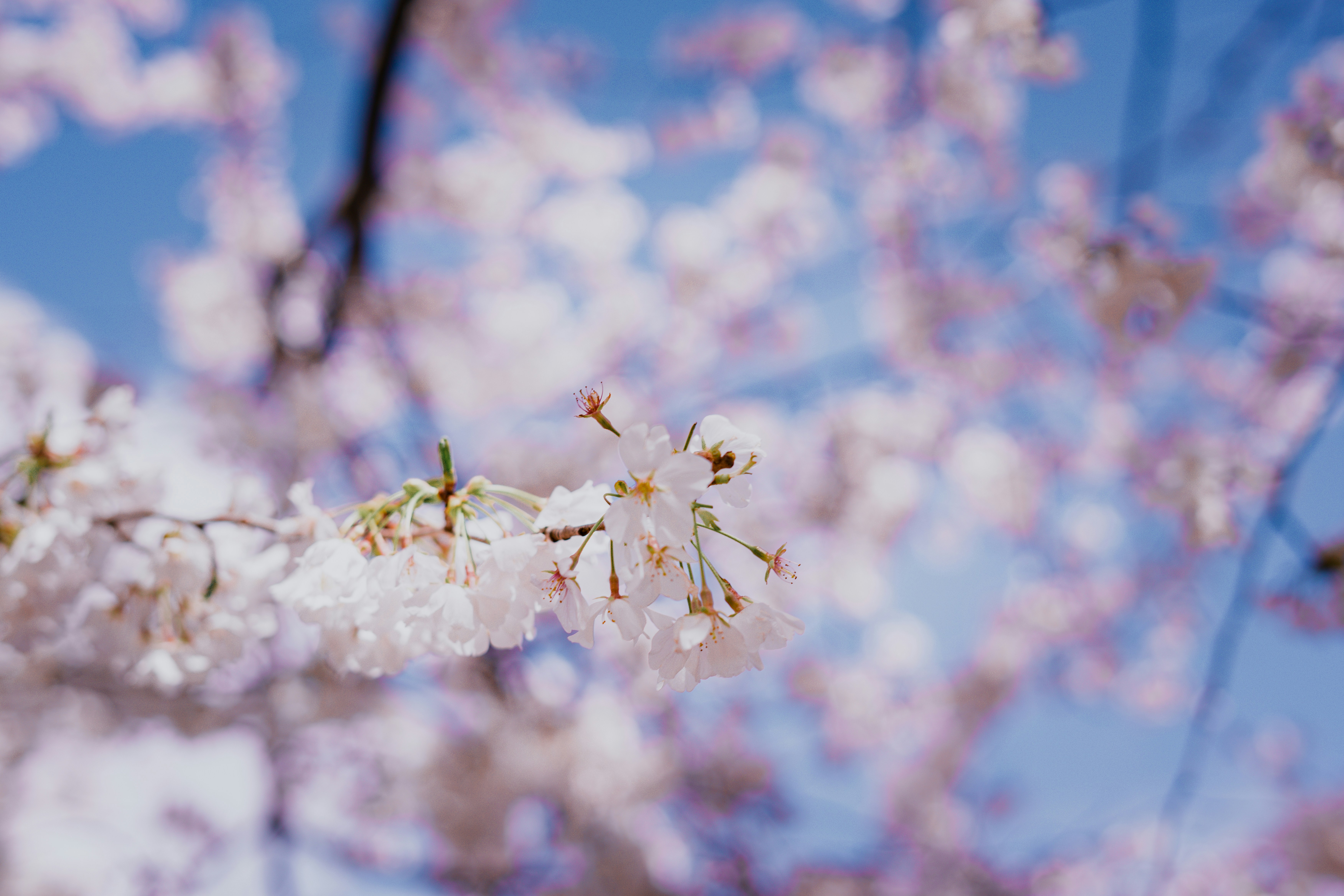 Photo by kosmonaut182