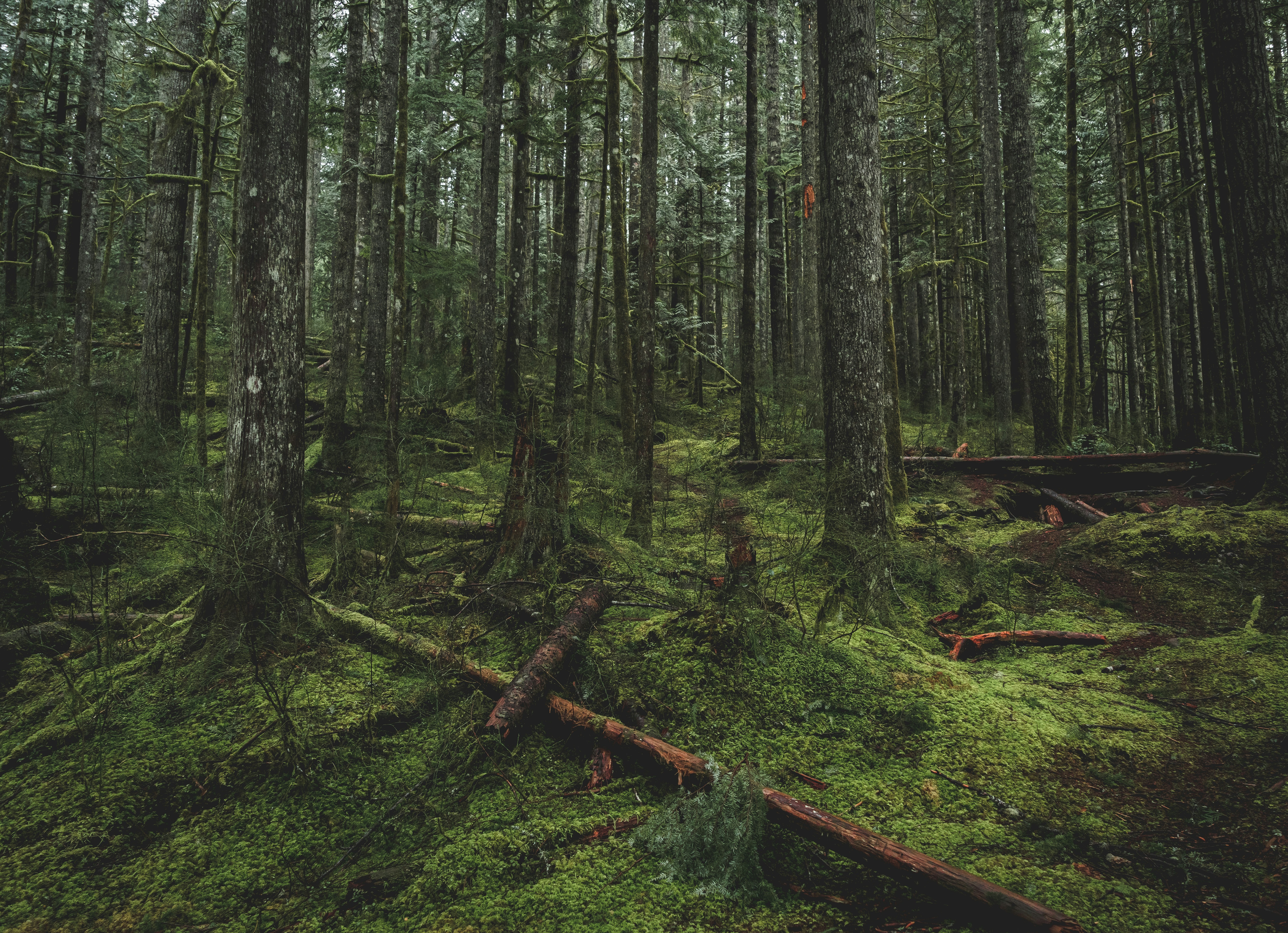 Photo by kosmonaut182