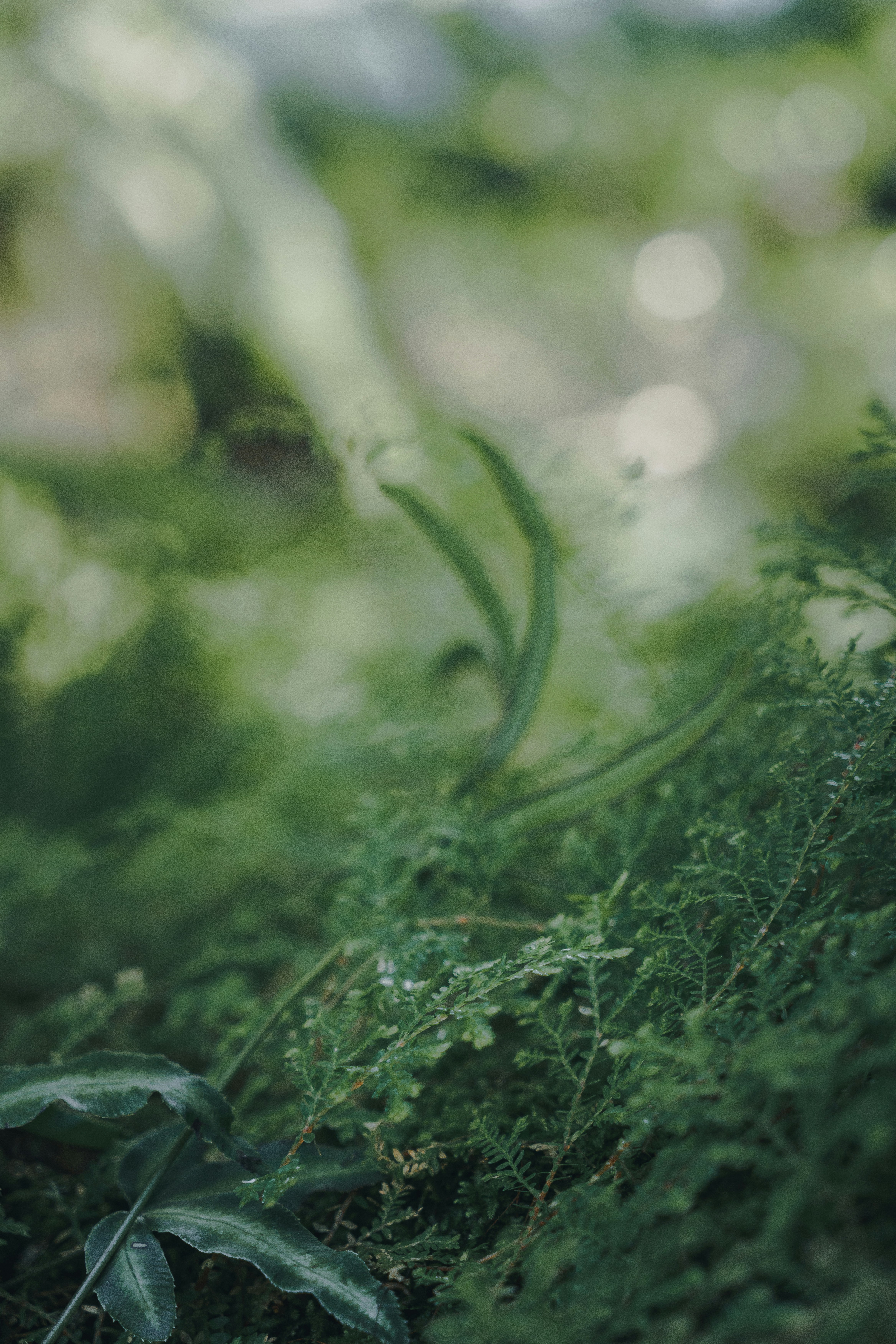 Photo by kosmonaut182