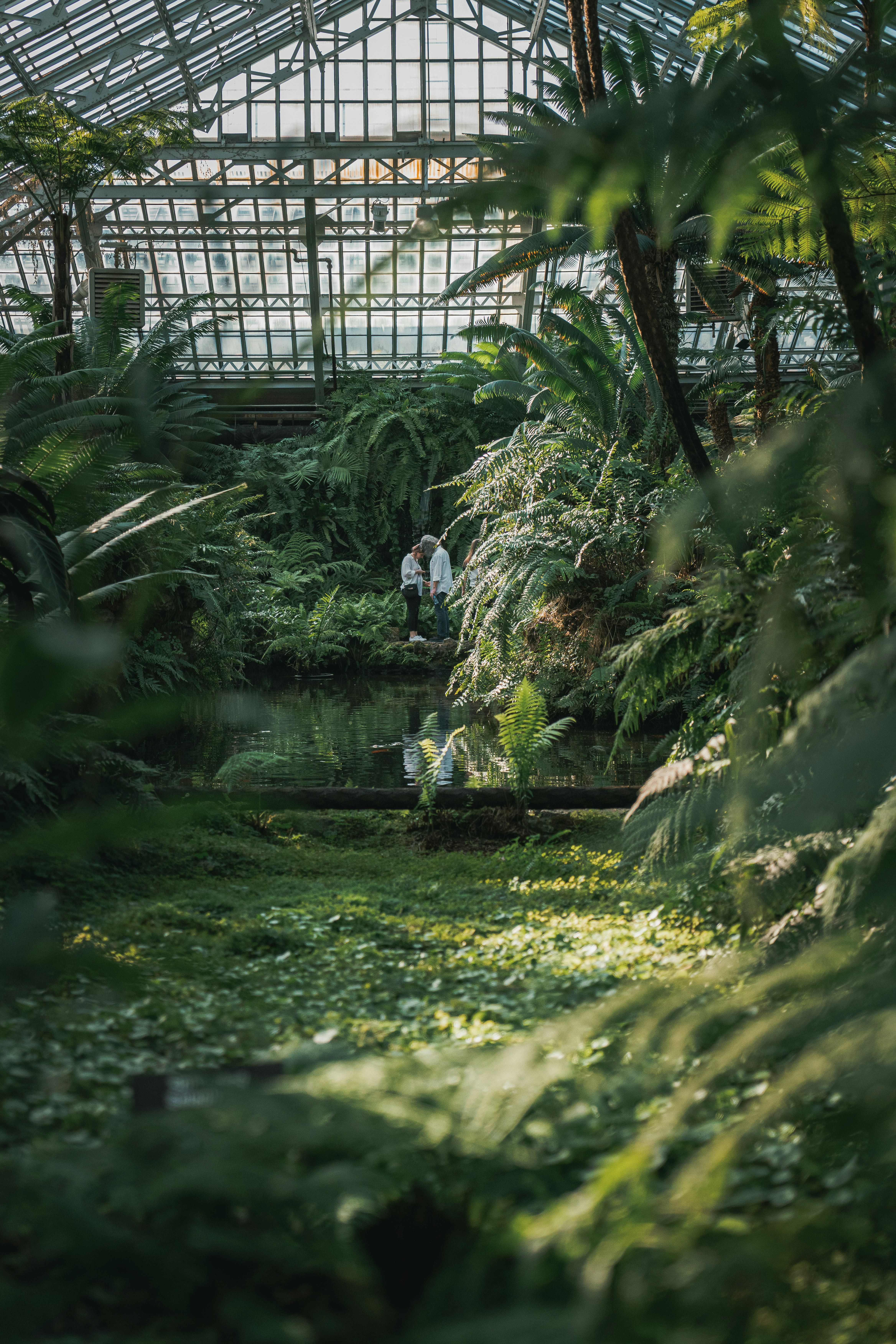 a group of people walking through a lush green forest