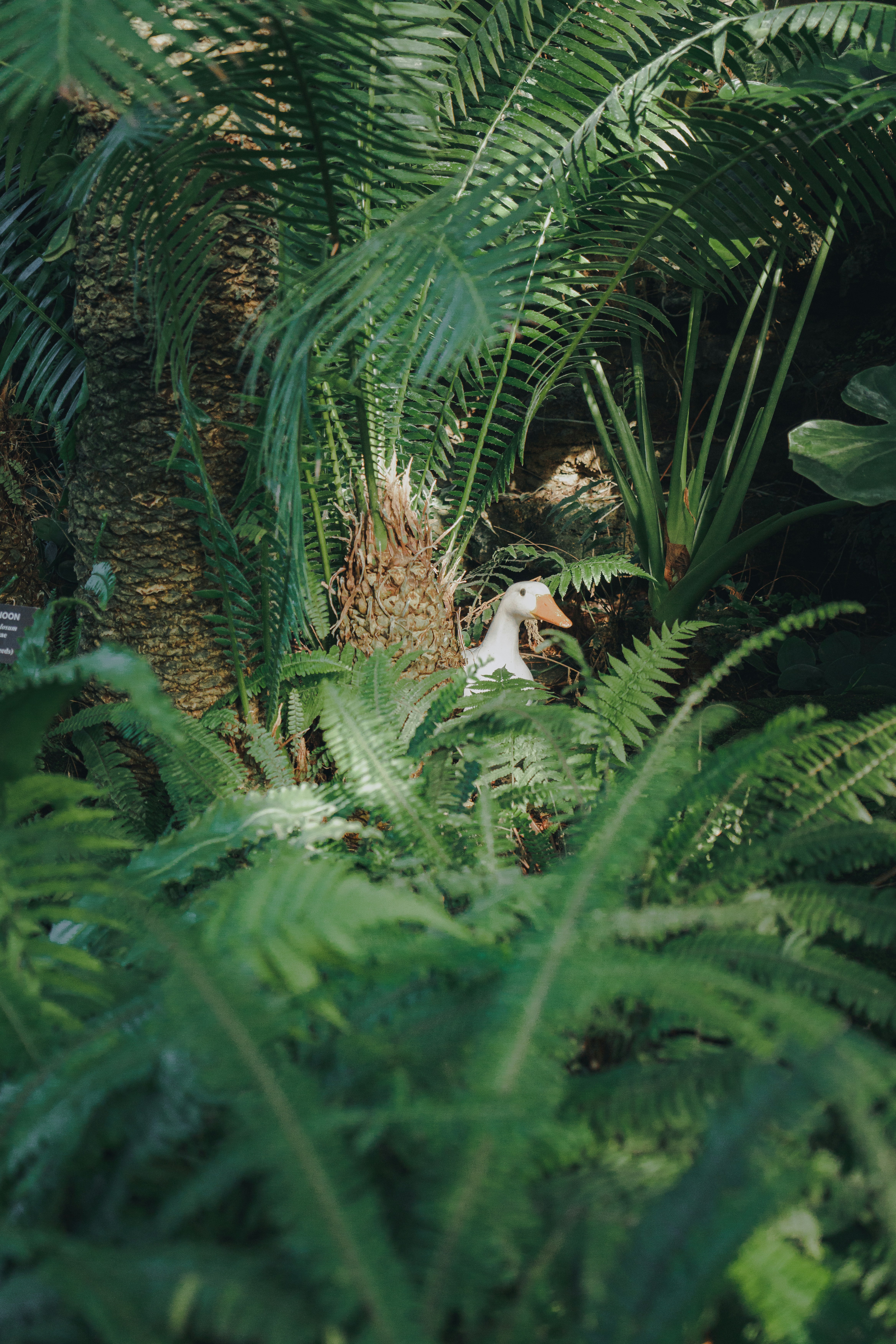 Photo by kosmonaut182