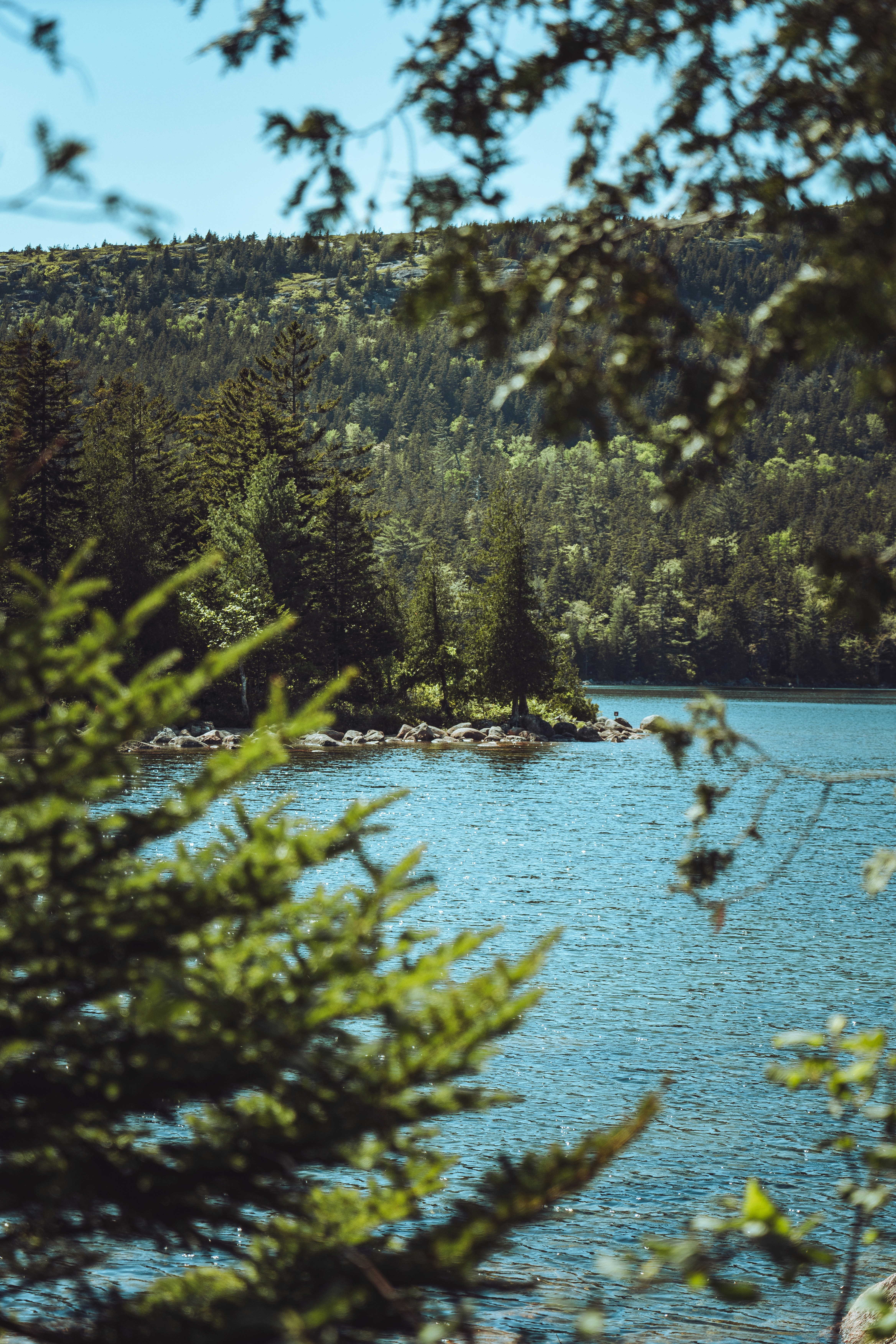 Photo by kosmonaut182