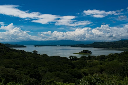 a large body of water surrounded by lush green trees