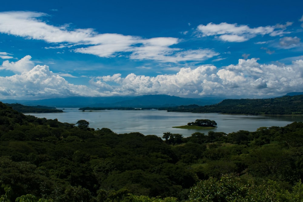 a large body of water surrounded by lush green trees