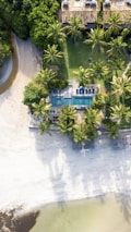 Aerial view of a tropical beach with lush green palm trees surrounding a luxurious villa. The property features a swimming pool and a neatly maintained lawn. The sandy beach leads to a calm shoreline with clear waters. The dense vegetation in the background contrasts with the open sandy area.