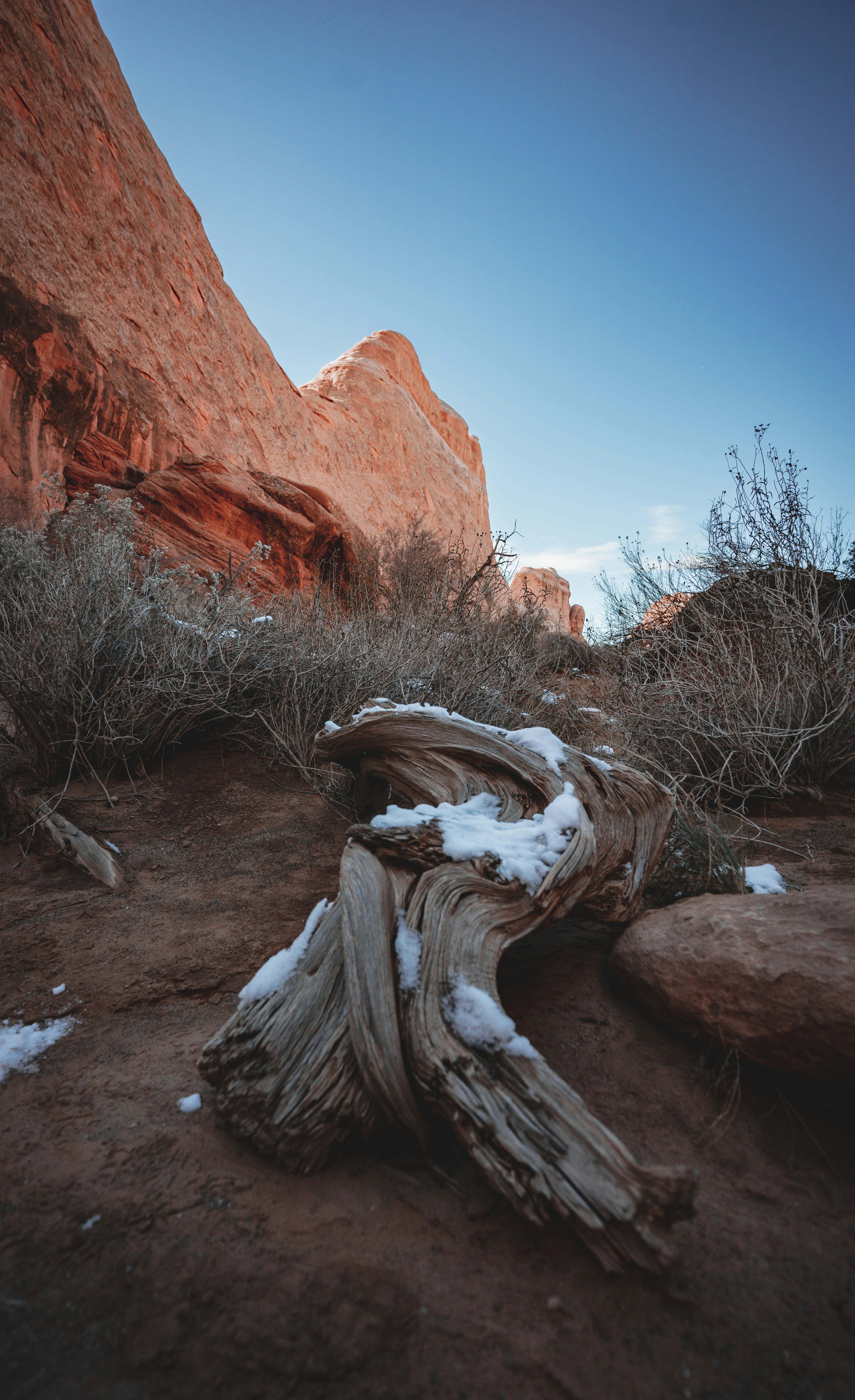 Photo by kosmonaut182