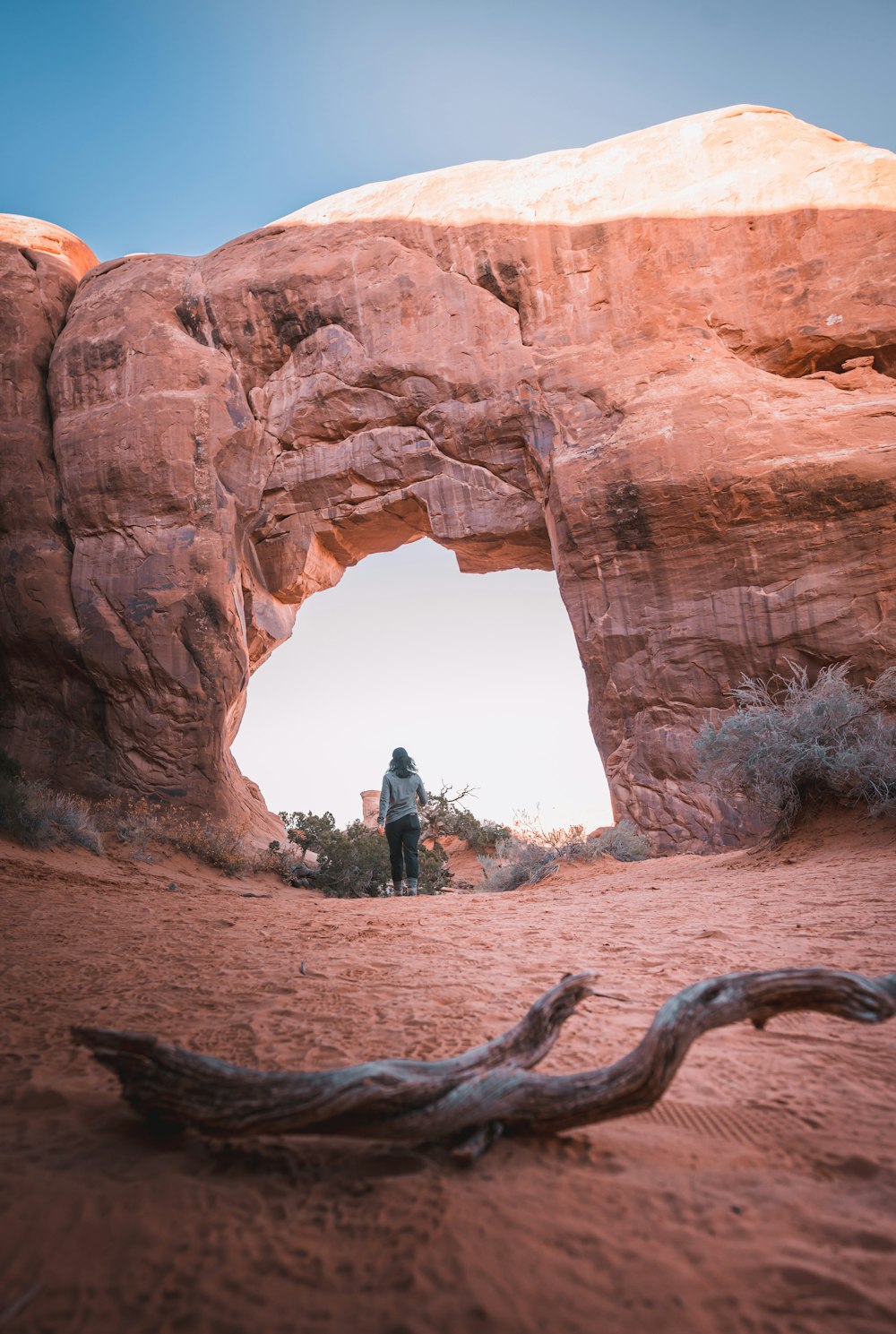 a person standing in the middle of a desert