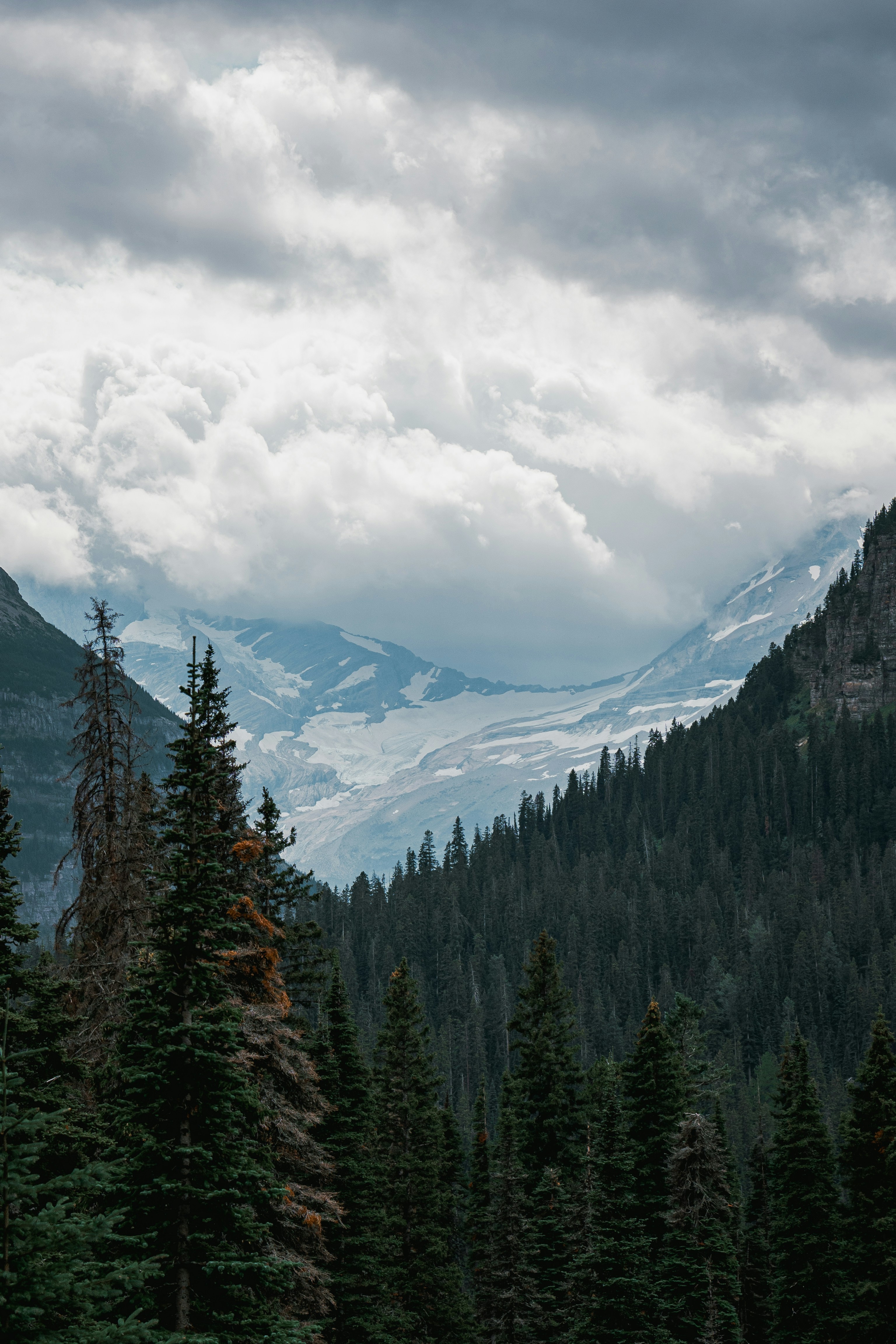 Photo by kosmonaut182