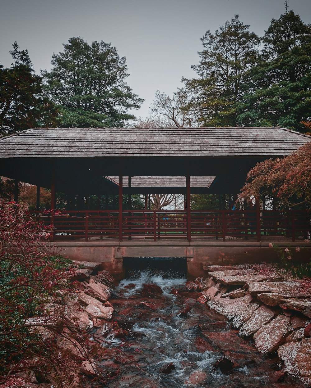 a small bridge over a small stream in a park