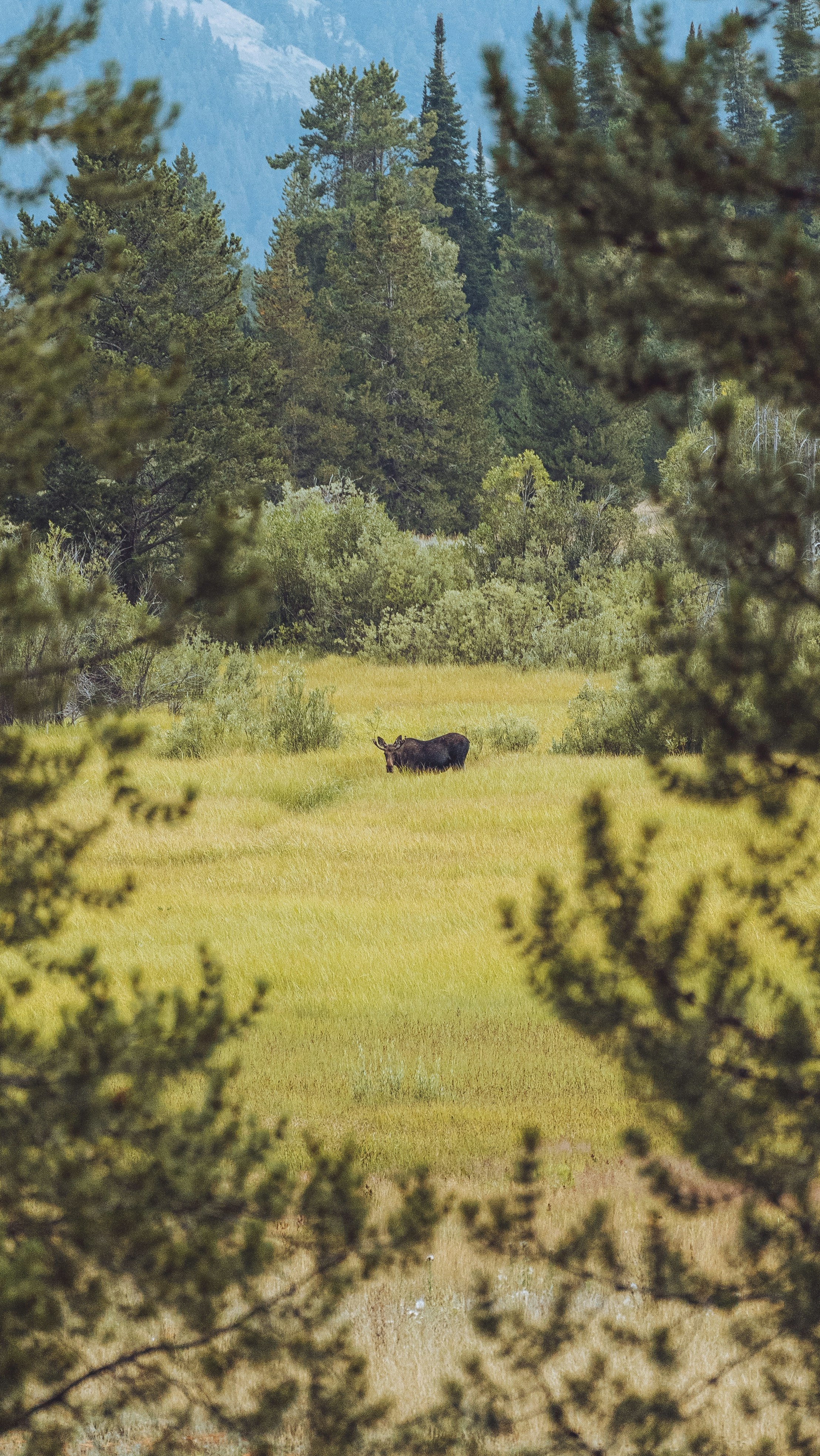 Photo by kosmonaut182