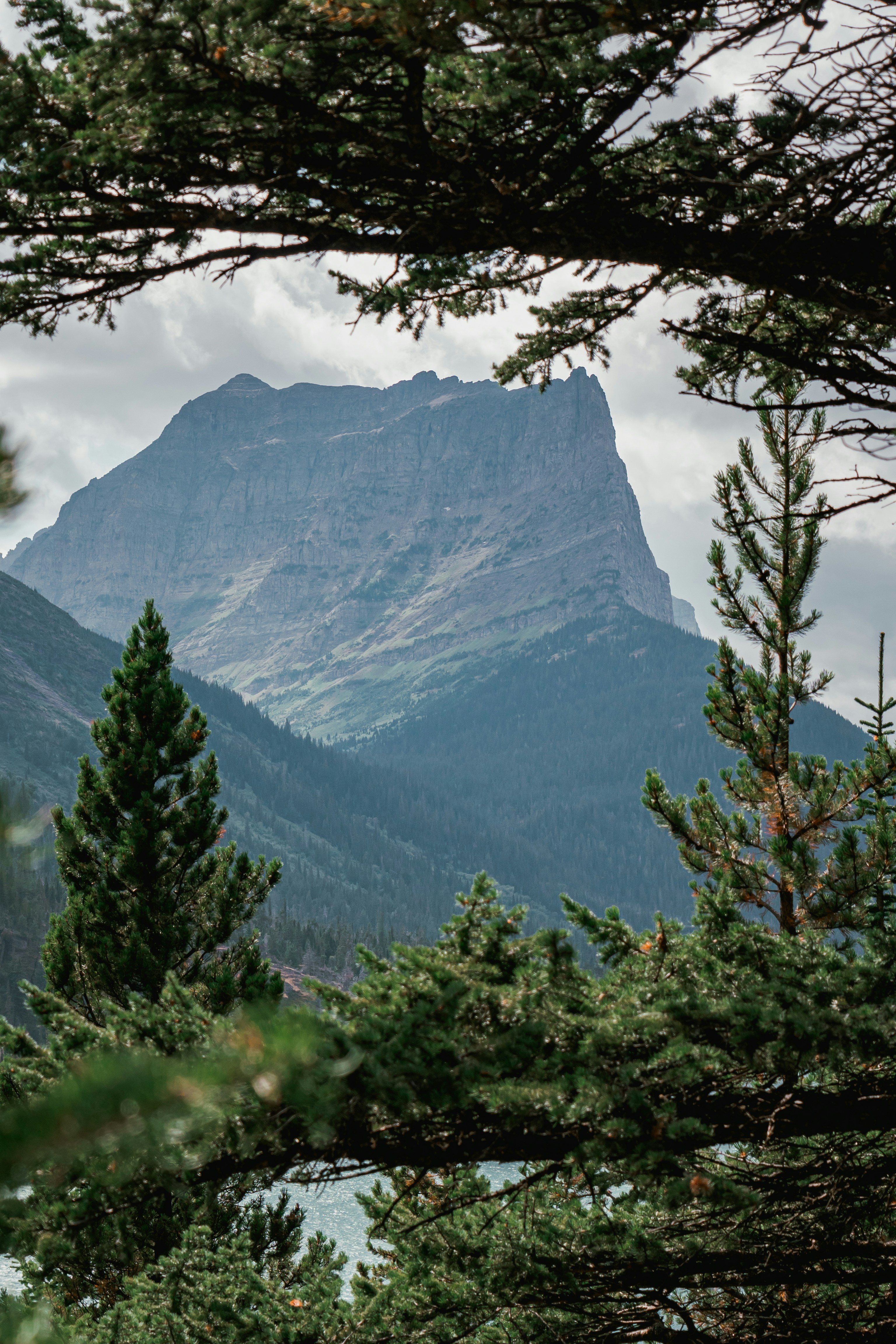 Photo by kosmonaut182