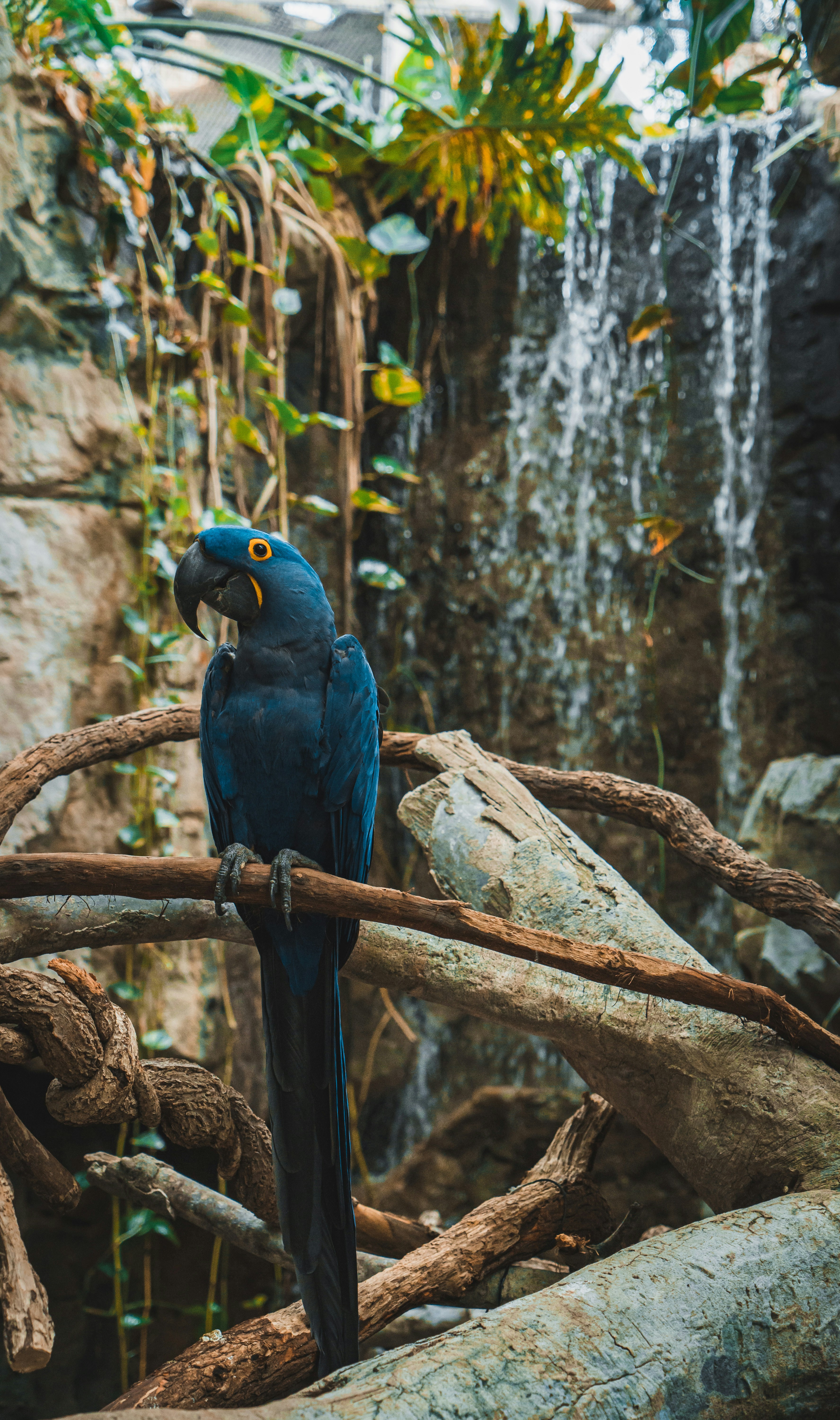 Photo by kosmonaut182