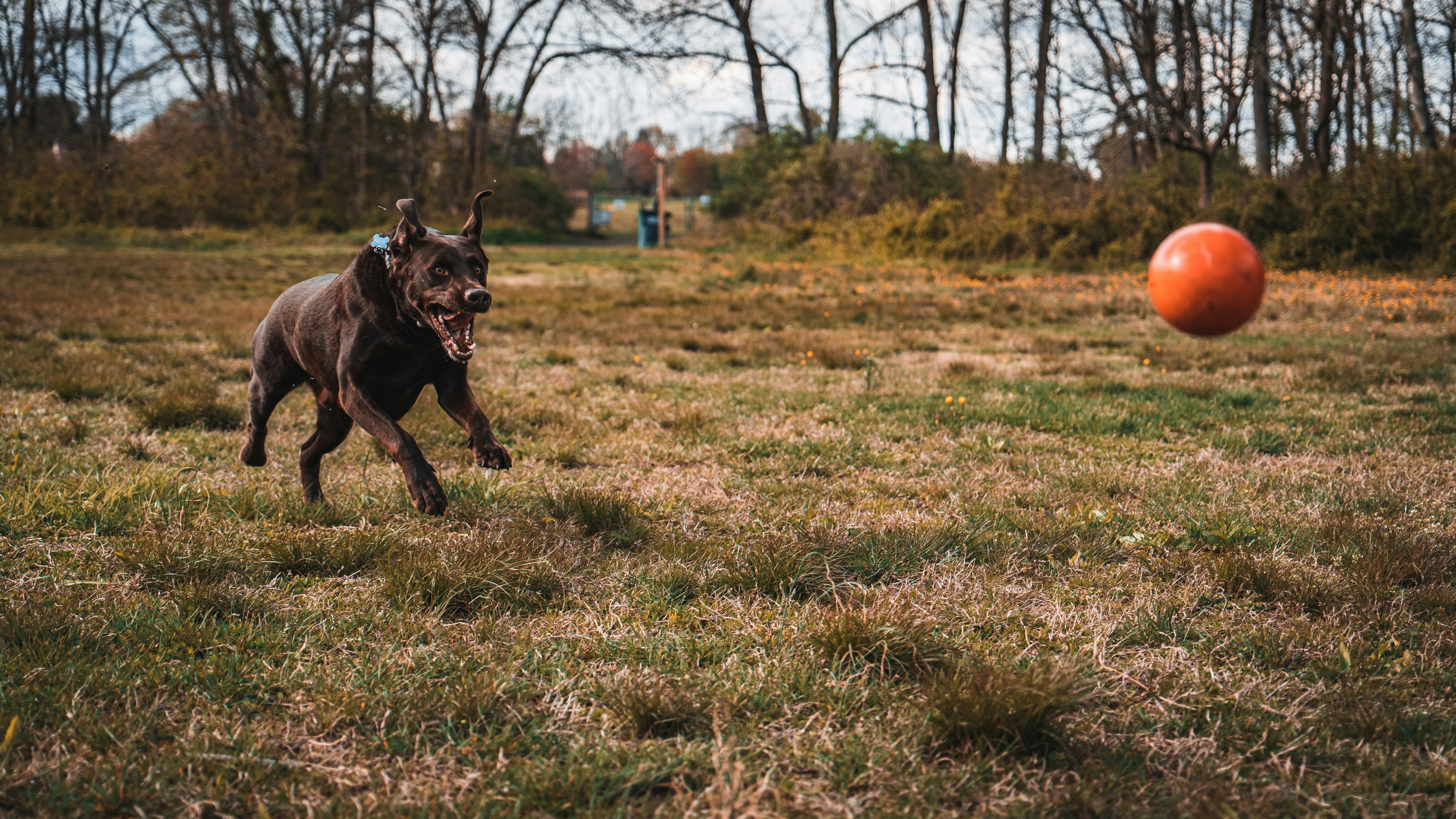 Photo by kosmonaut182