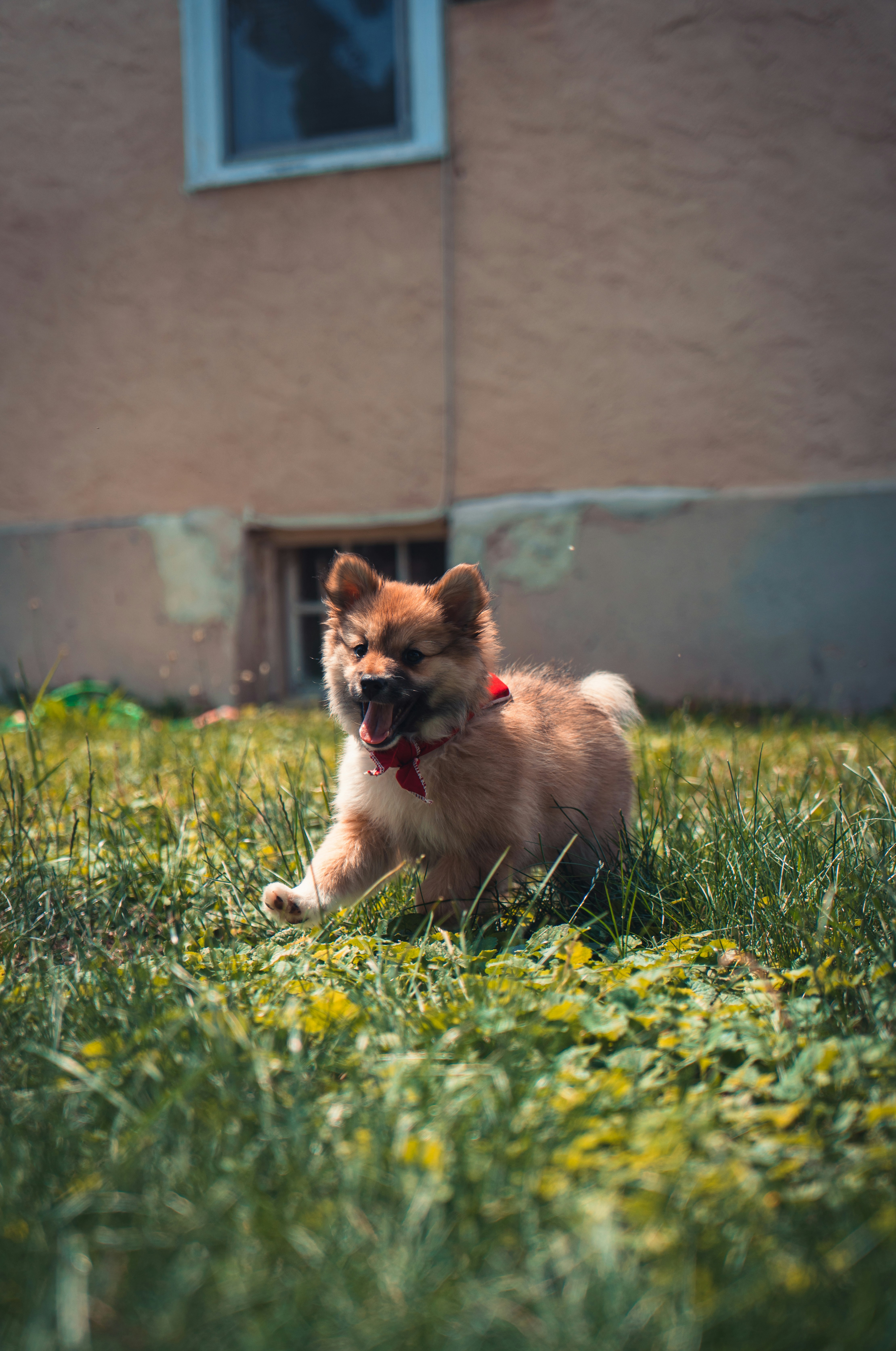 Photo by kosmonaut182