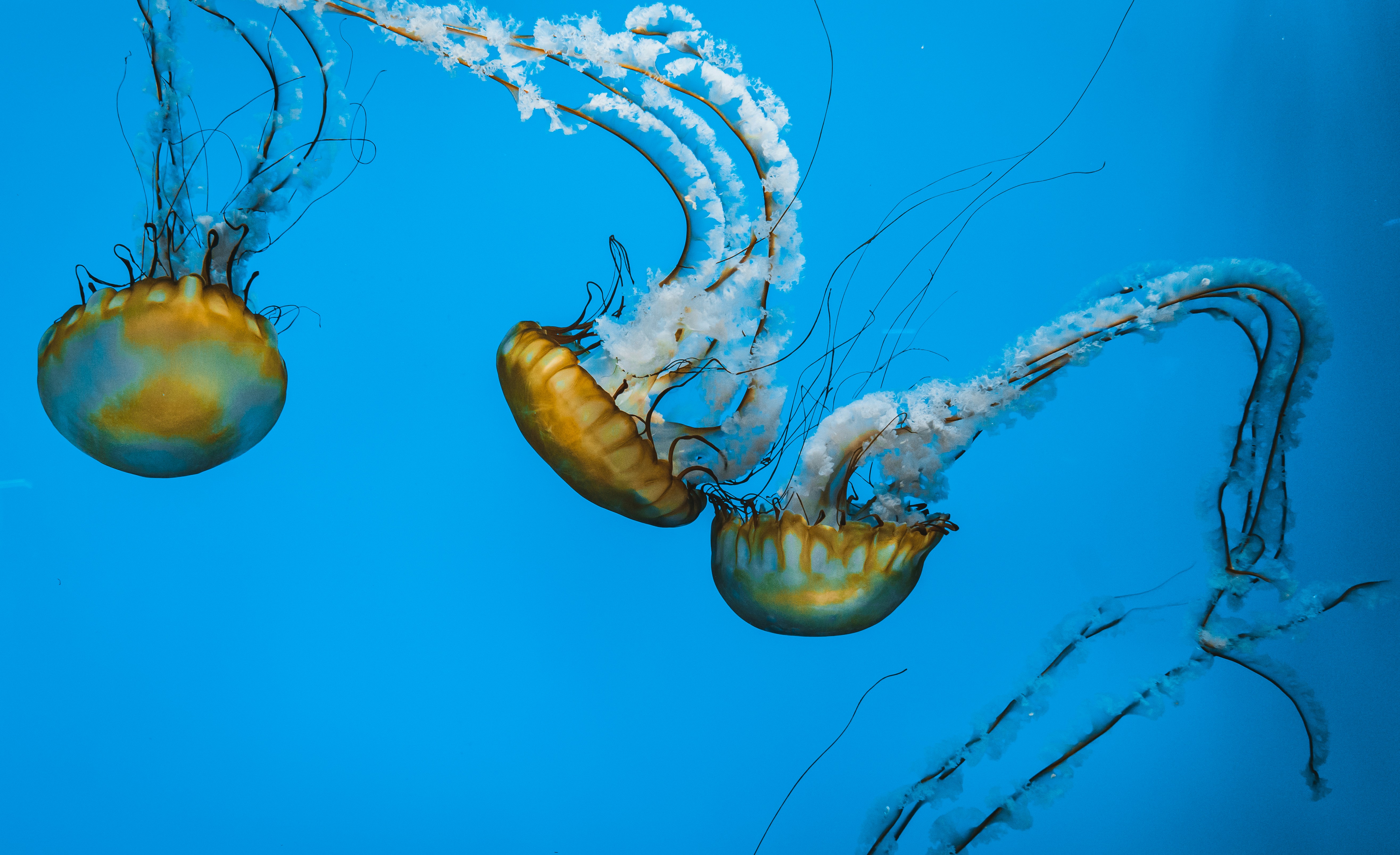 Photo by kosmonaut182