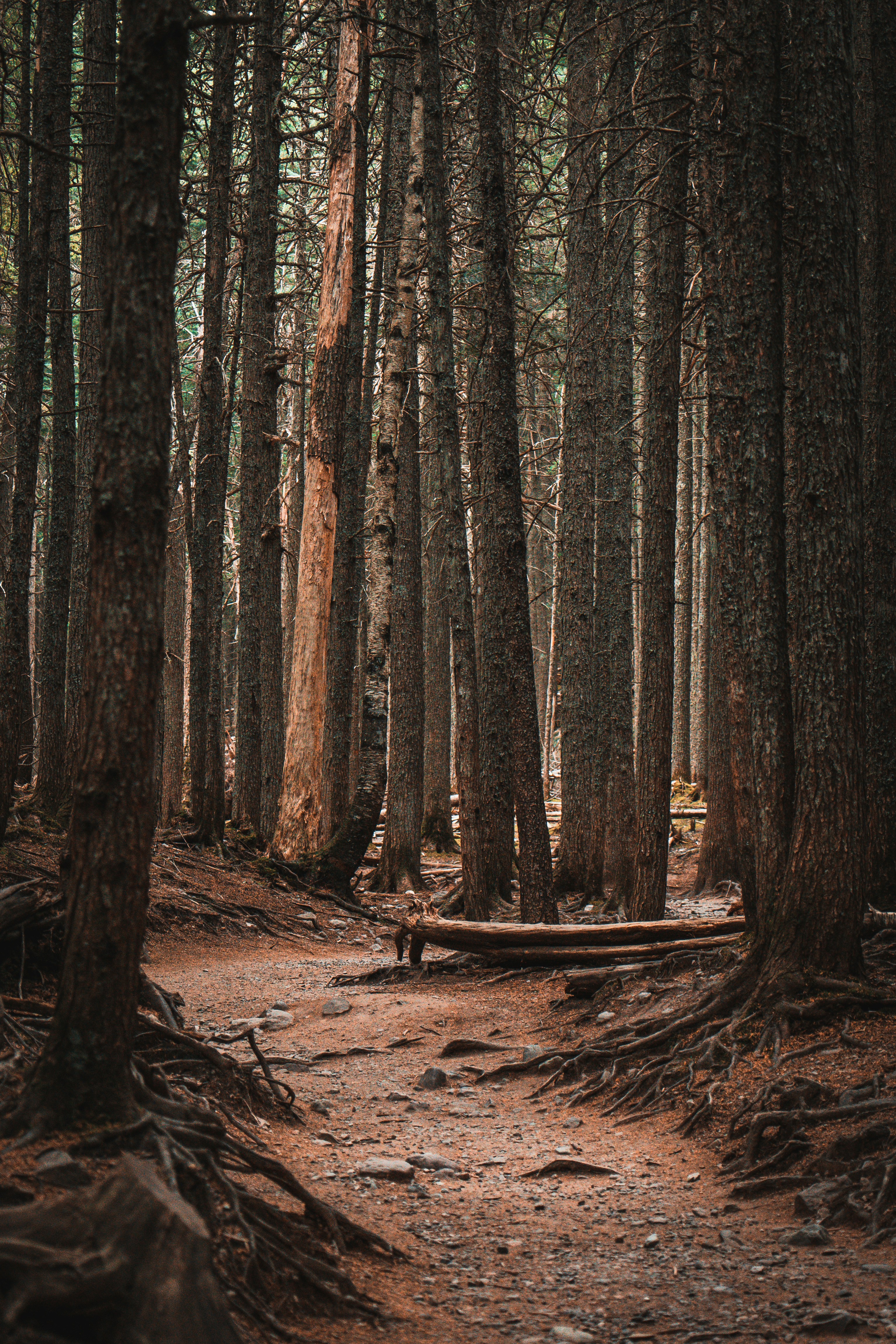 Photo by kosmonaut182