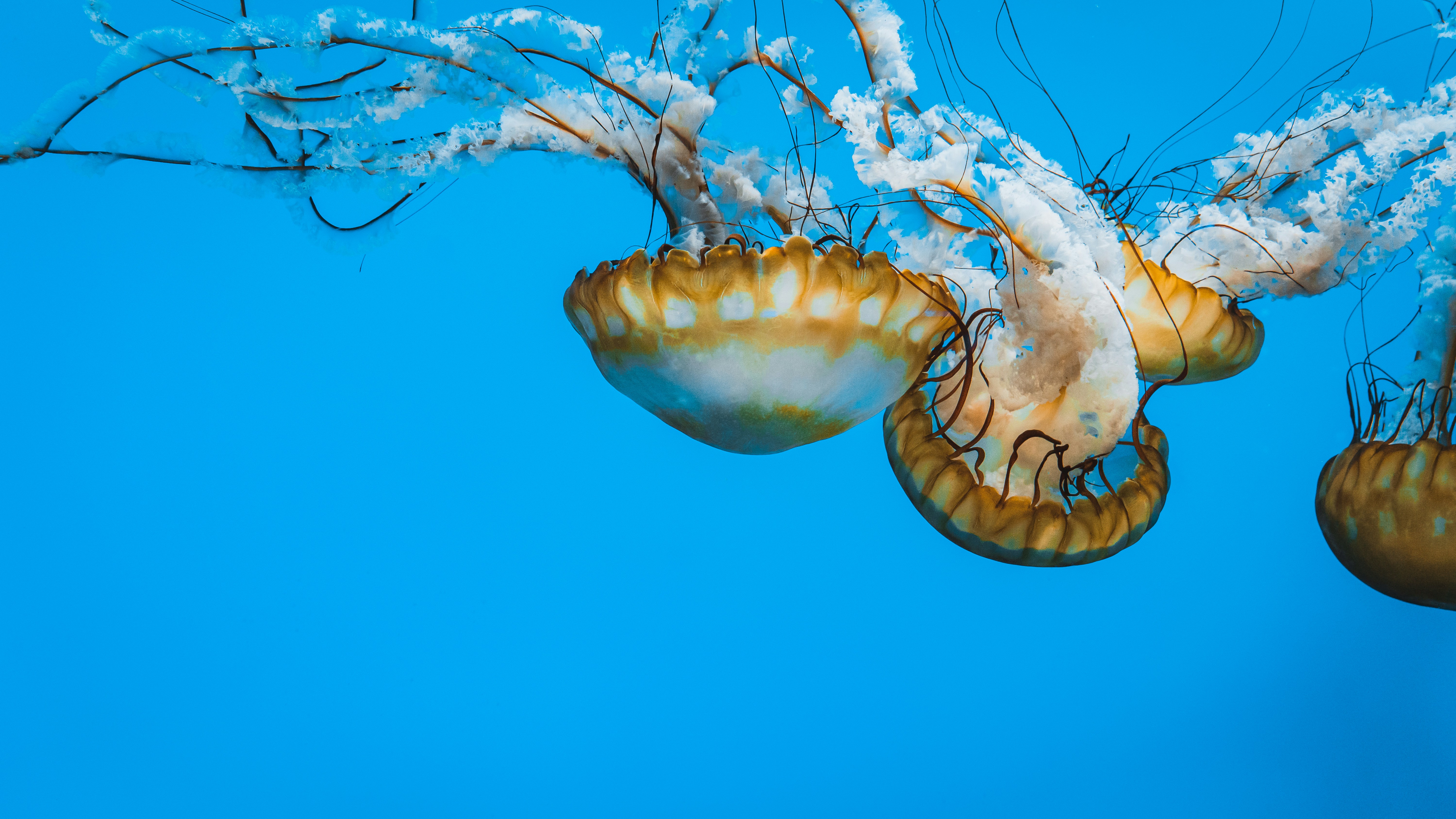 Photo by kosmonaut182