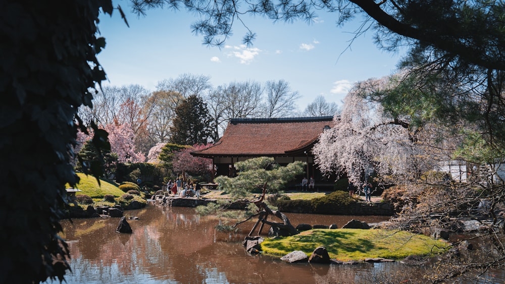 a pond in a park with a building in the background