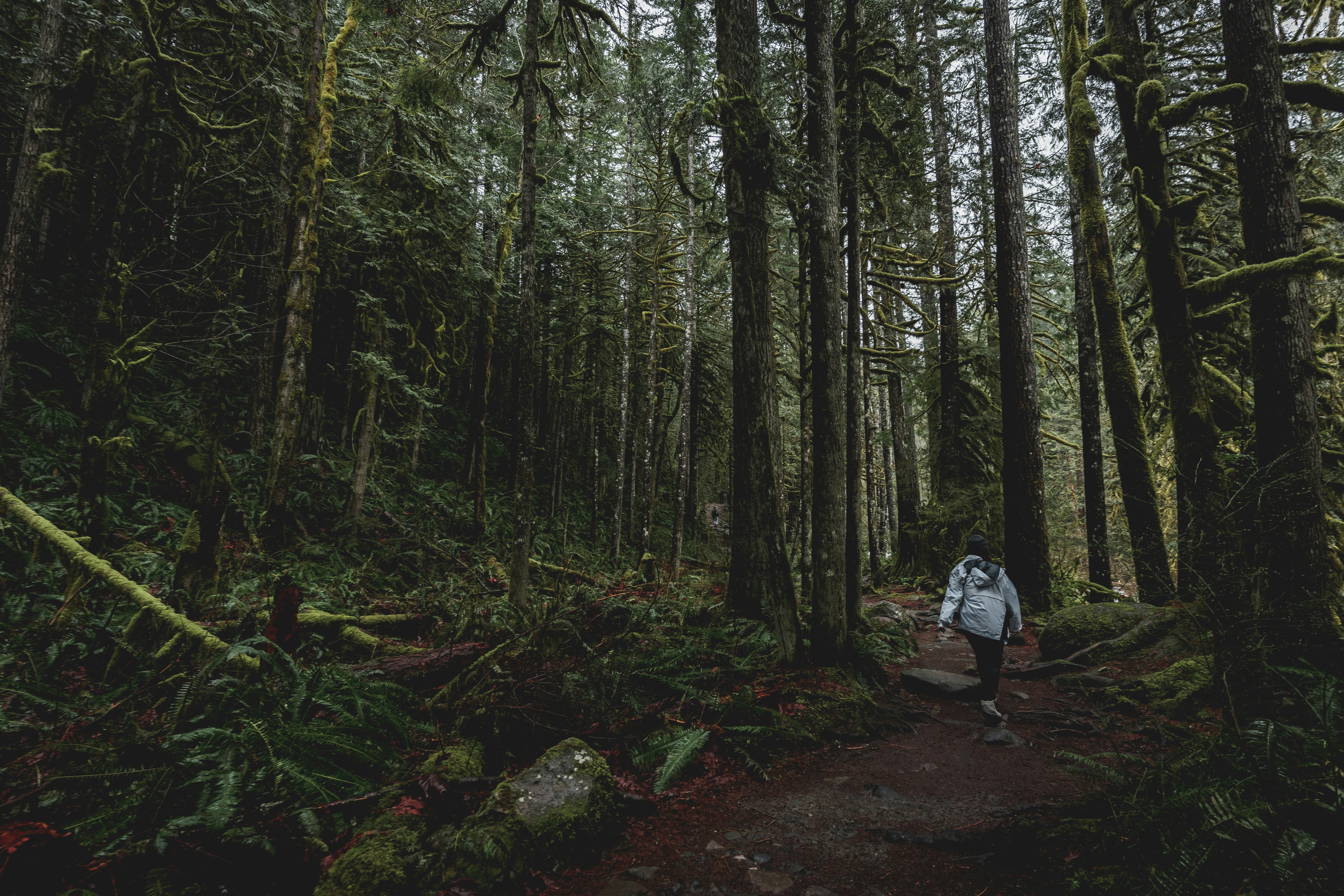 Photo by kosmonaut182