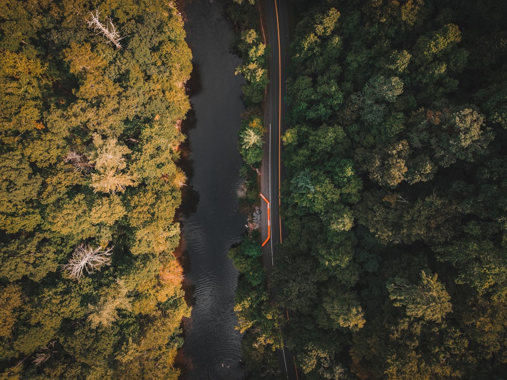 an aerial view of a road surrounded by trees