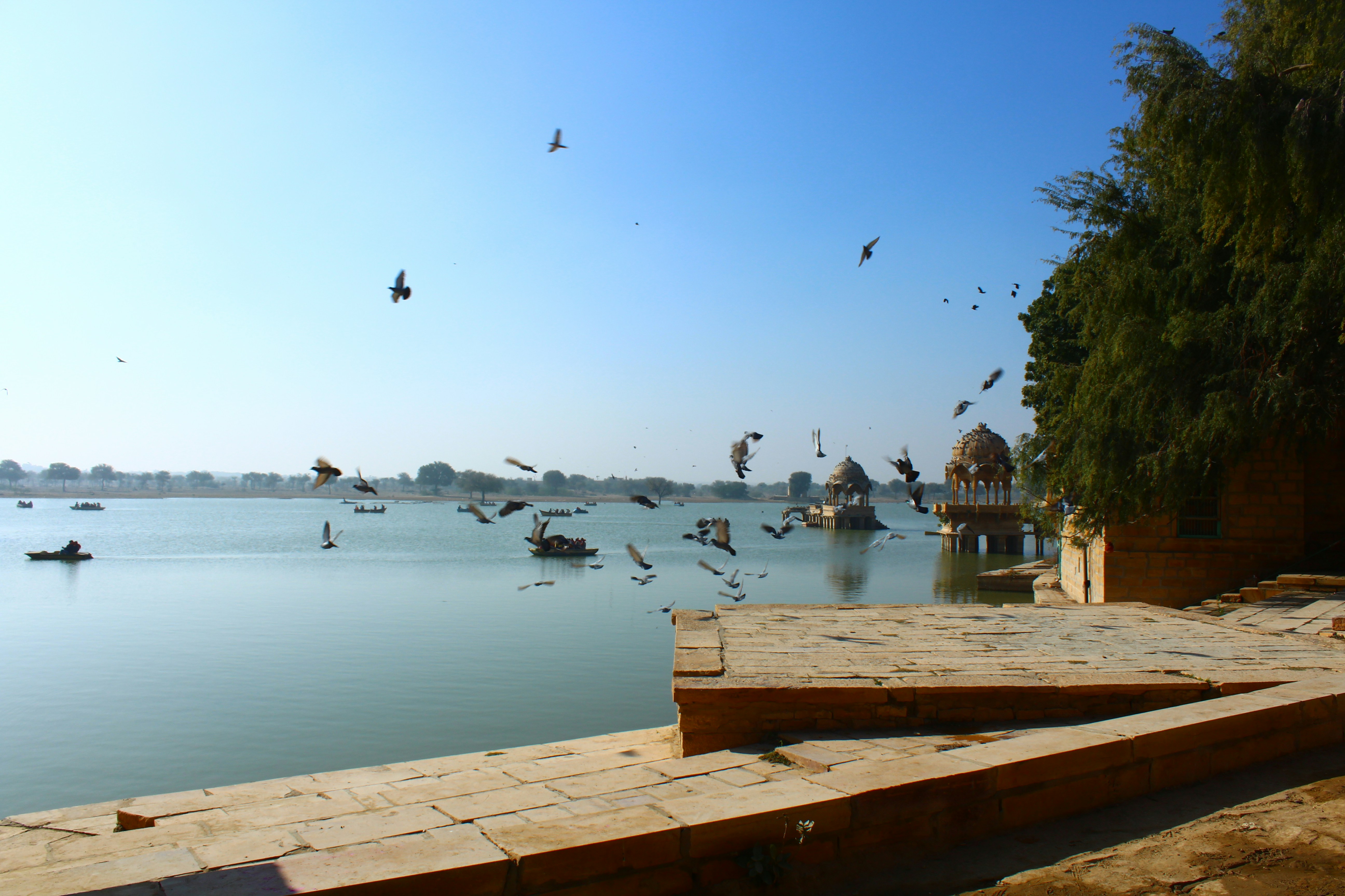 Photo by phoenix0296