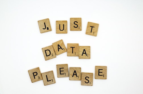 Wooden letter tiles resembling those from a word game are arranged to spell out the phrase 'JUST DATA PLEASE' on a plain white background. The tiles have black letters and numbers indicating point values.